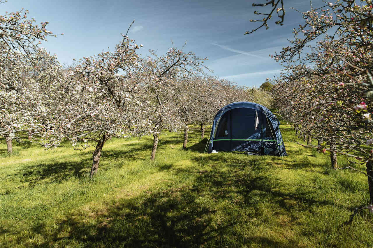 Cider Farm Orchard Campsite
