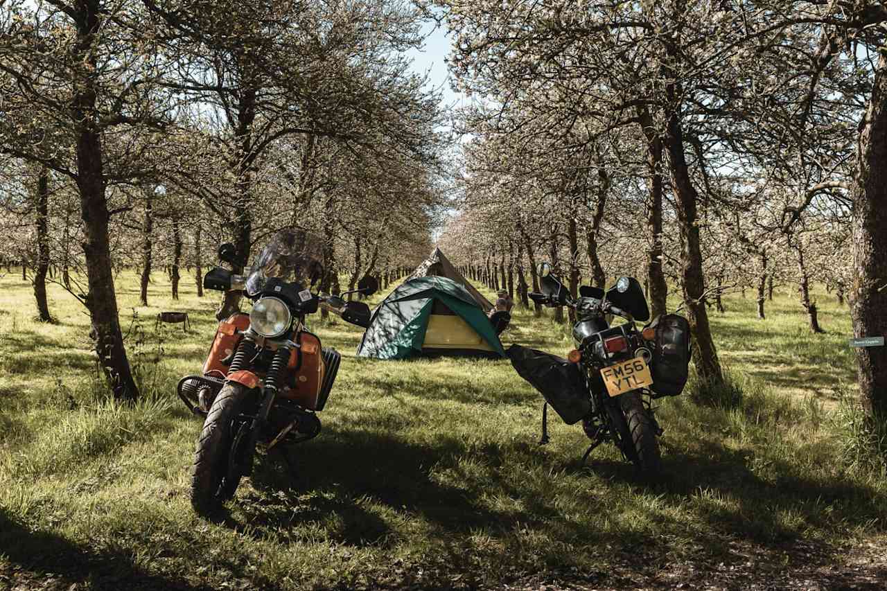 Cider Farm Orchard Campsite