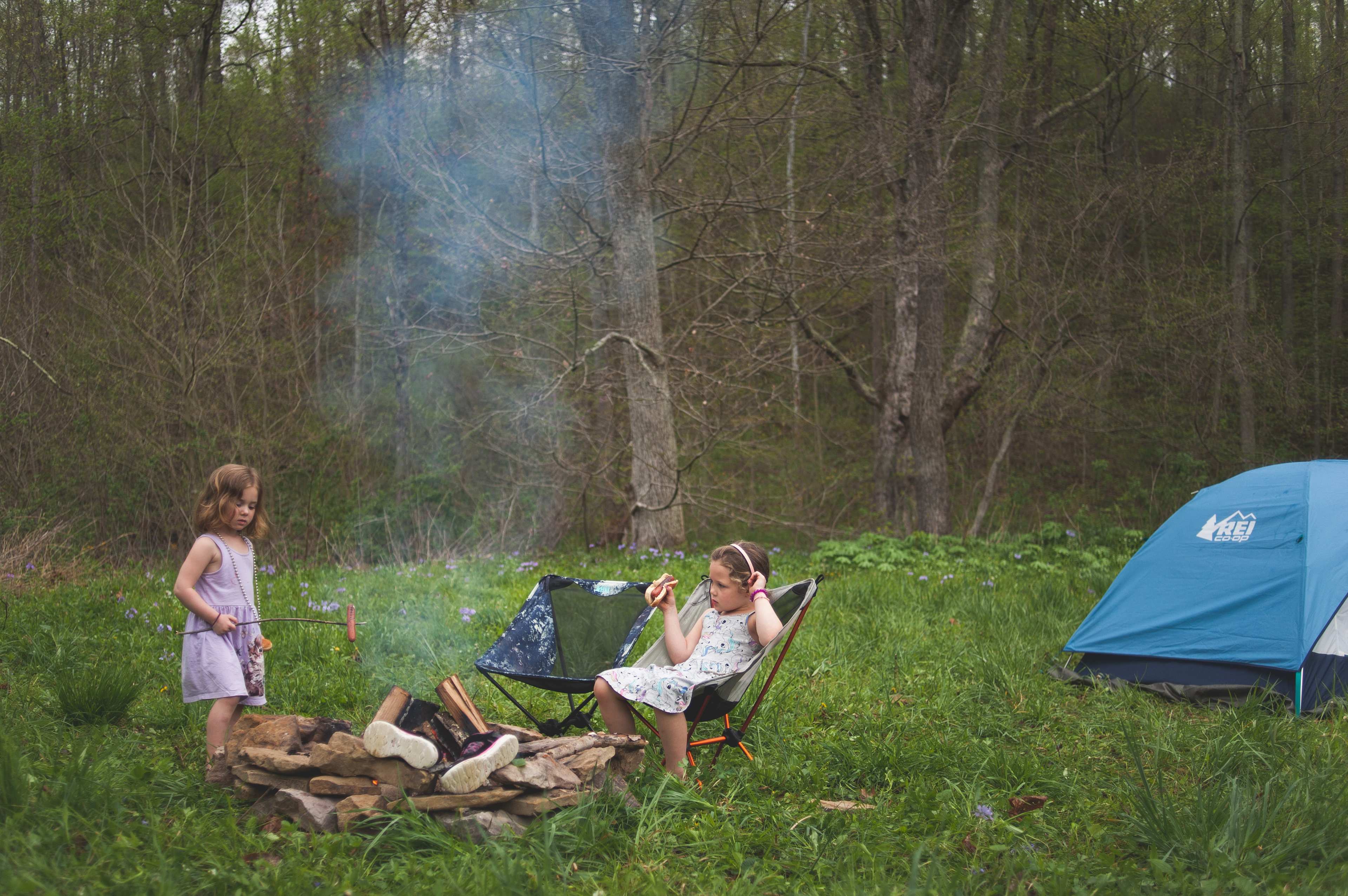 Hot dogs and s'mores by the fire
