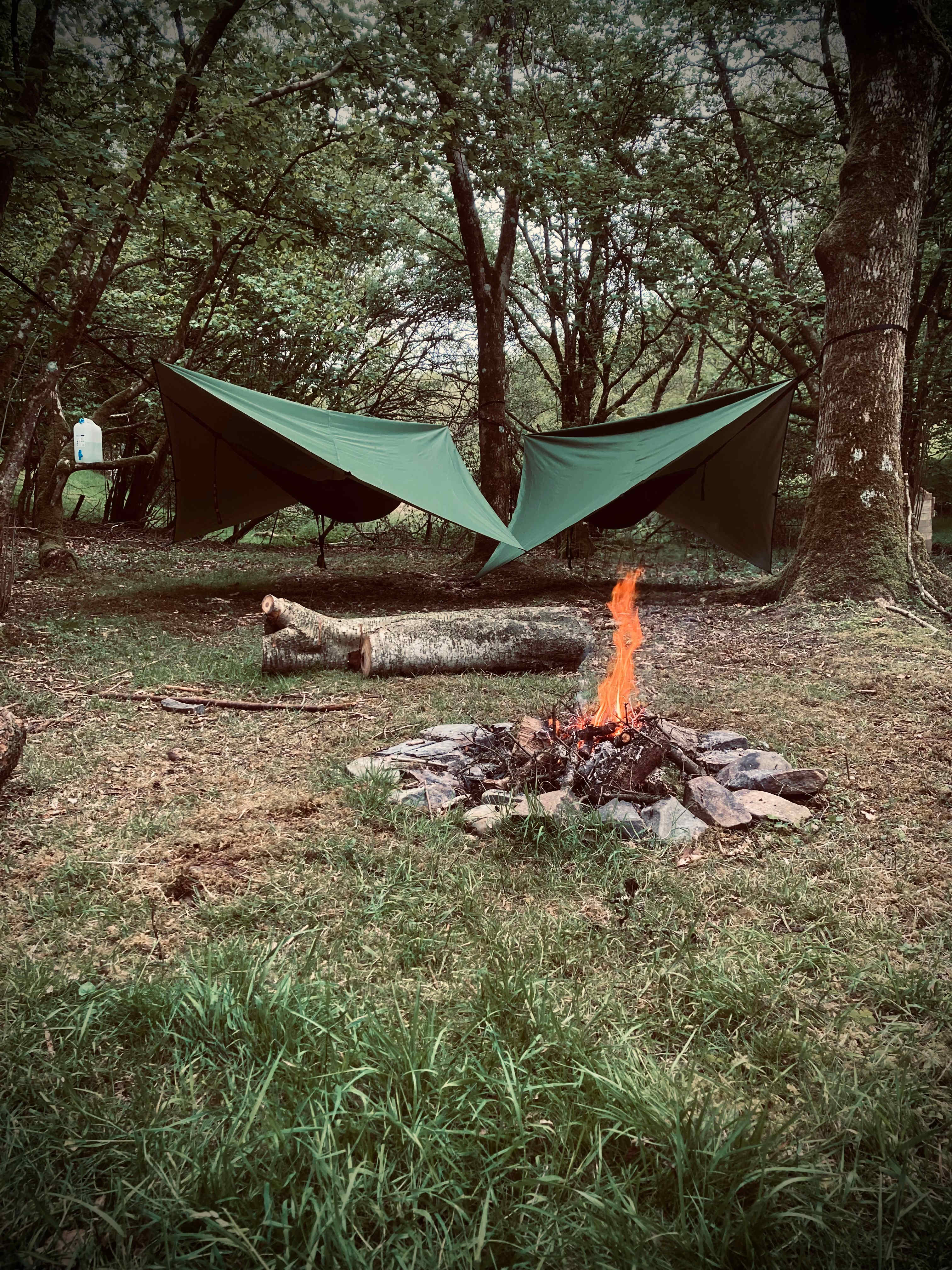 Wild Hammock Camping