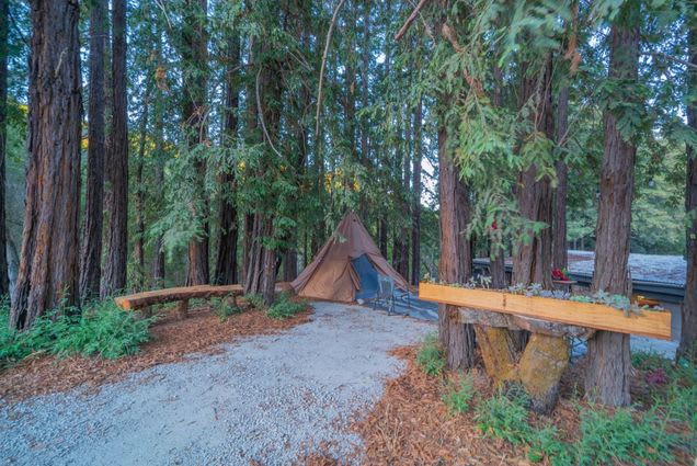Redwood Ranch with Sweeping View