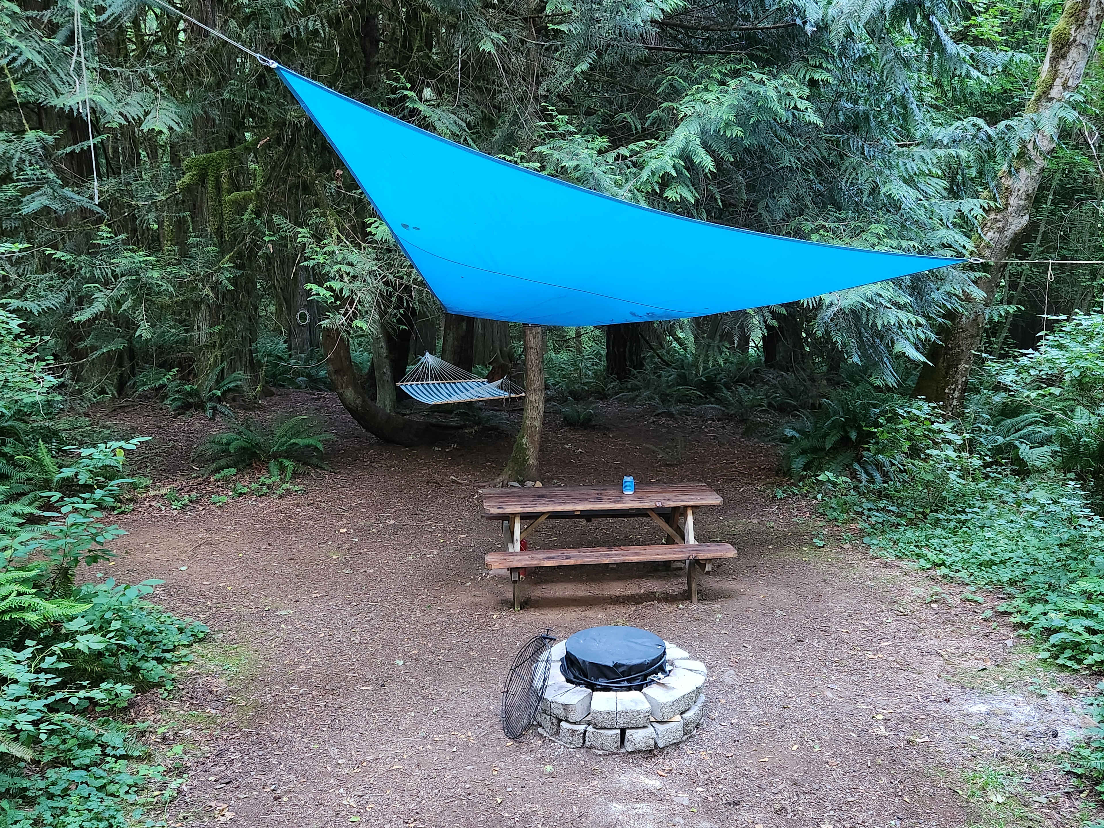 Site #1