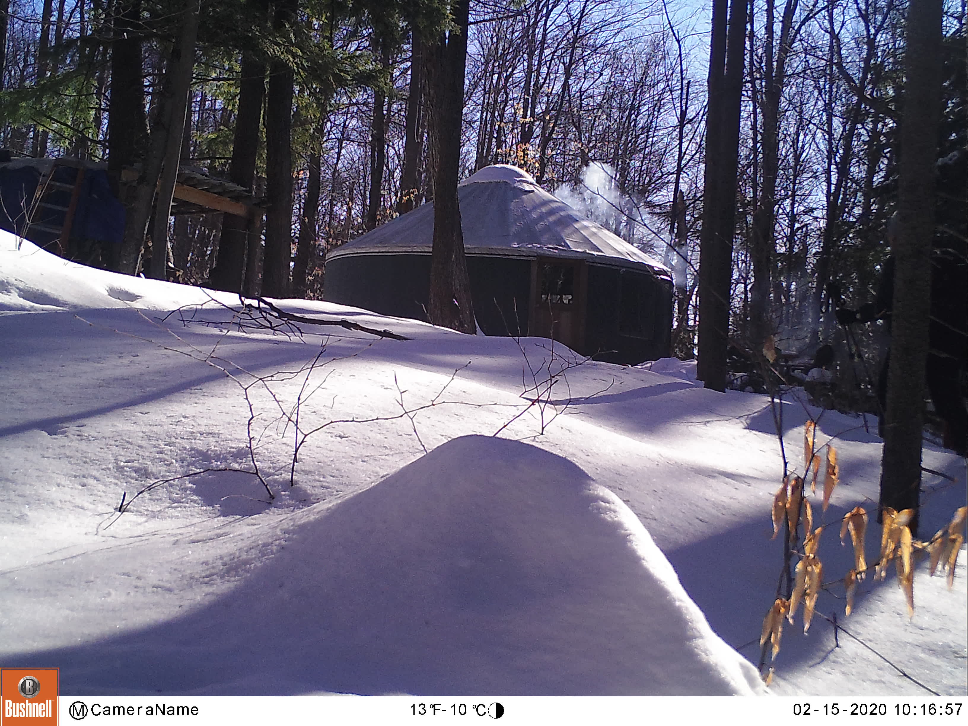 Back 80 Yurt