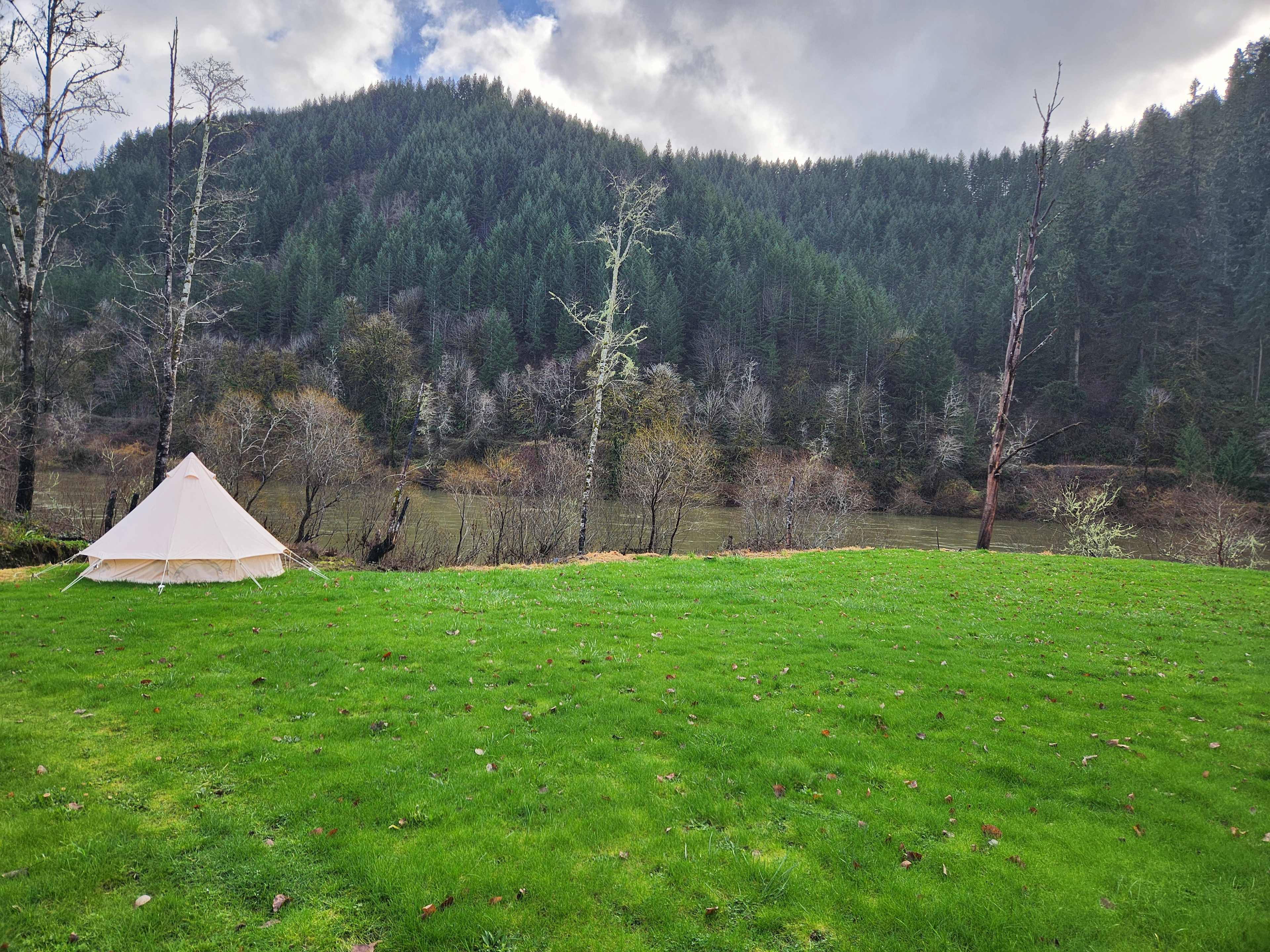 Tyee Farm