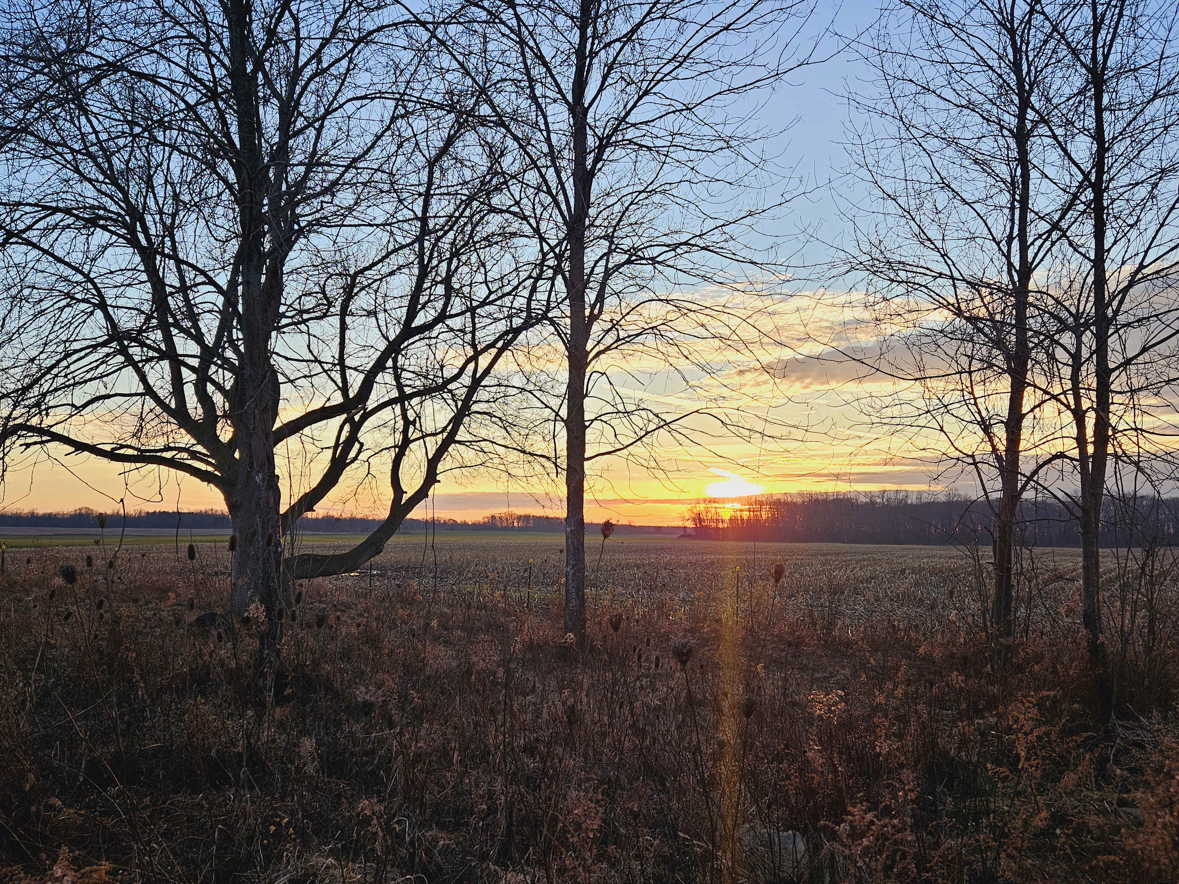 Ontario Vista On The Countryside