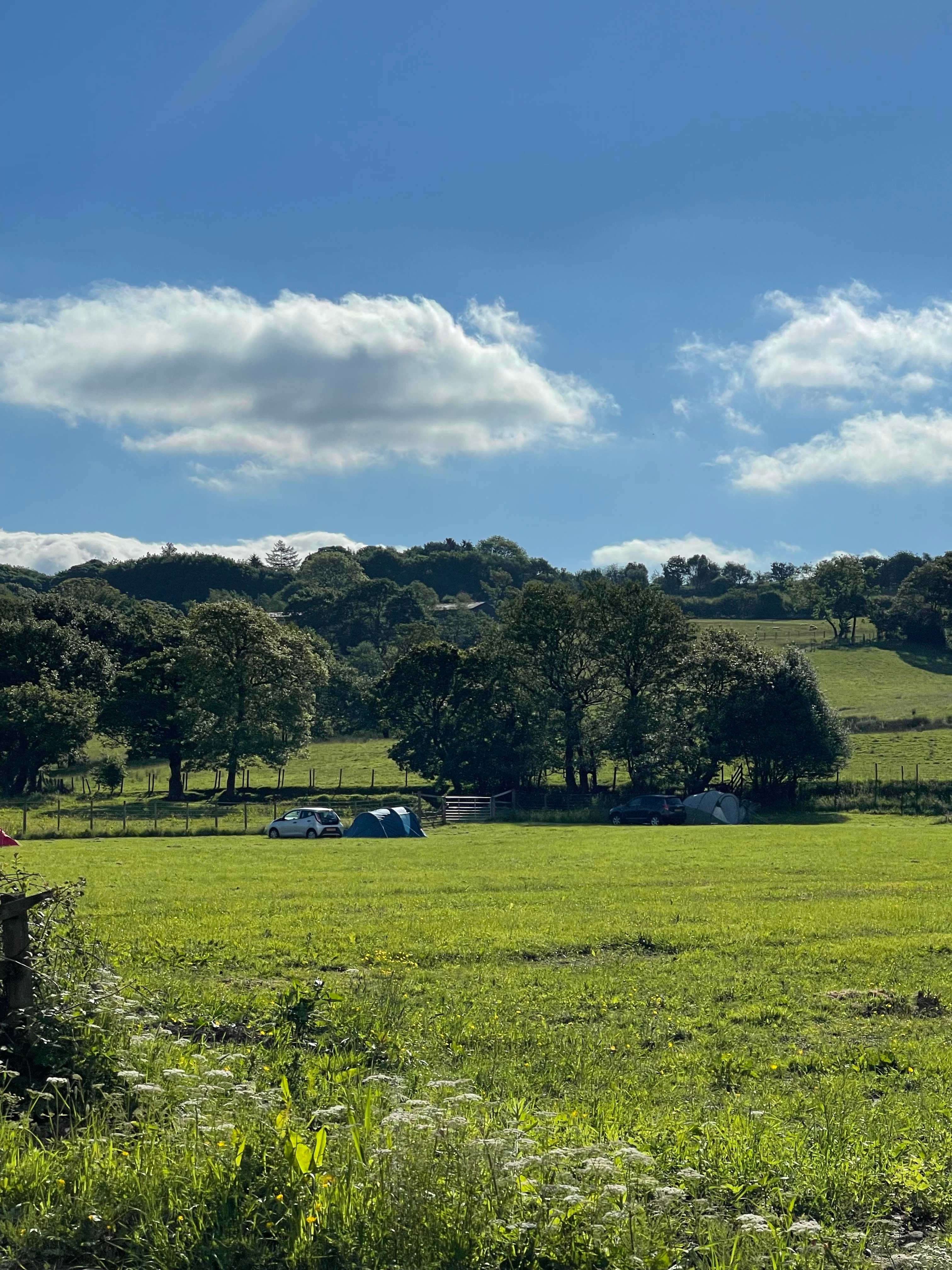 Primrose Cottage Camping
