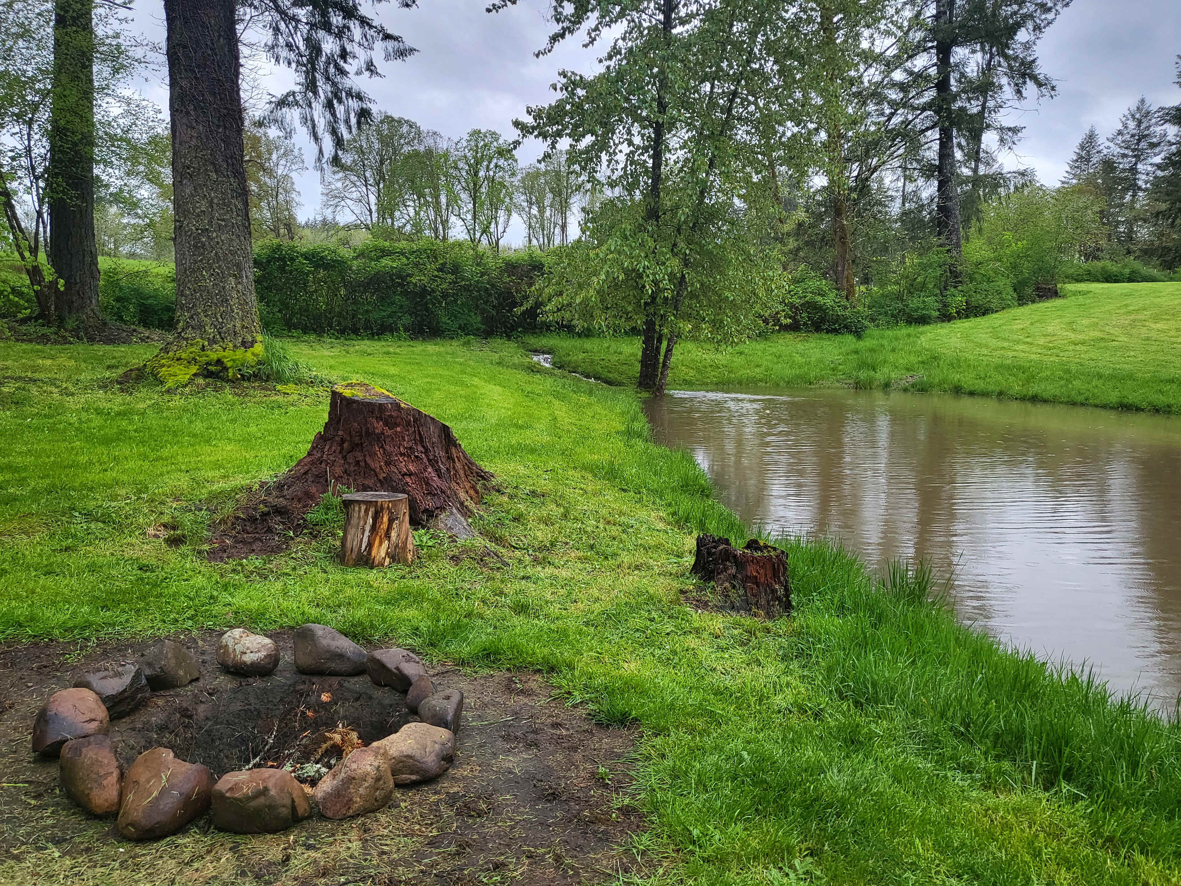 River Mountain Meadow