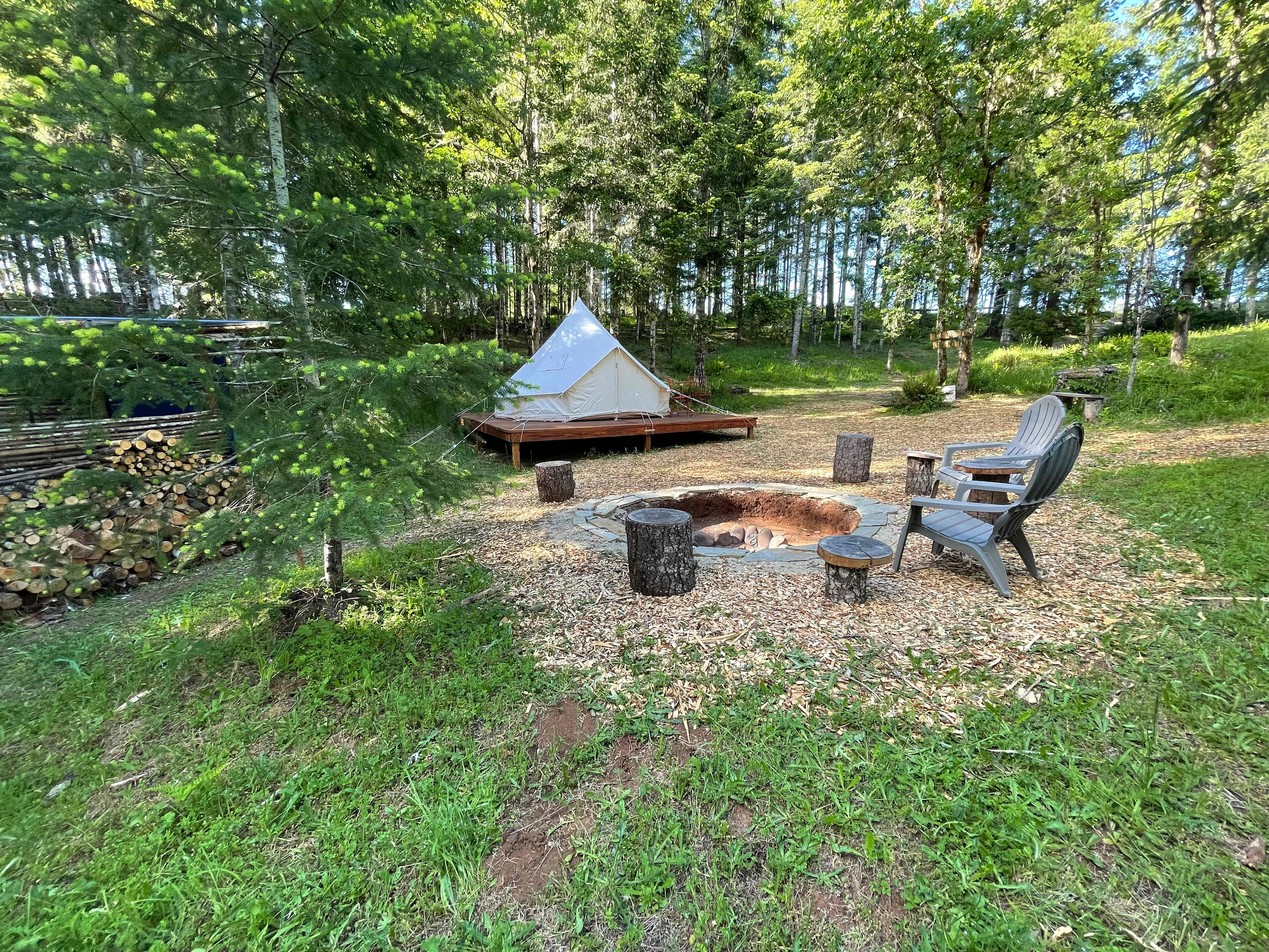 Picture of the site