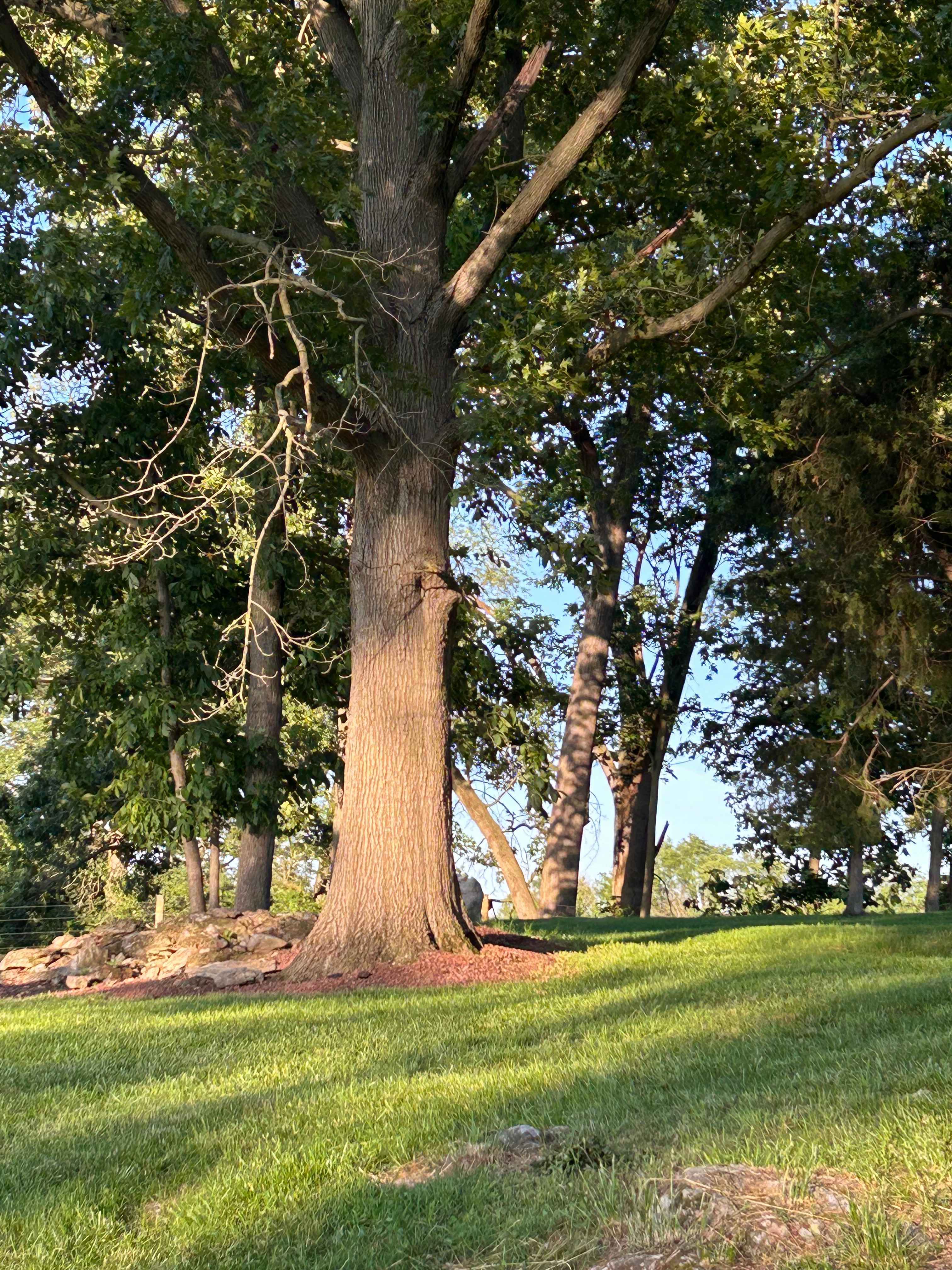 Skiles Rolling Acres Estate