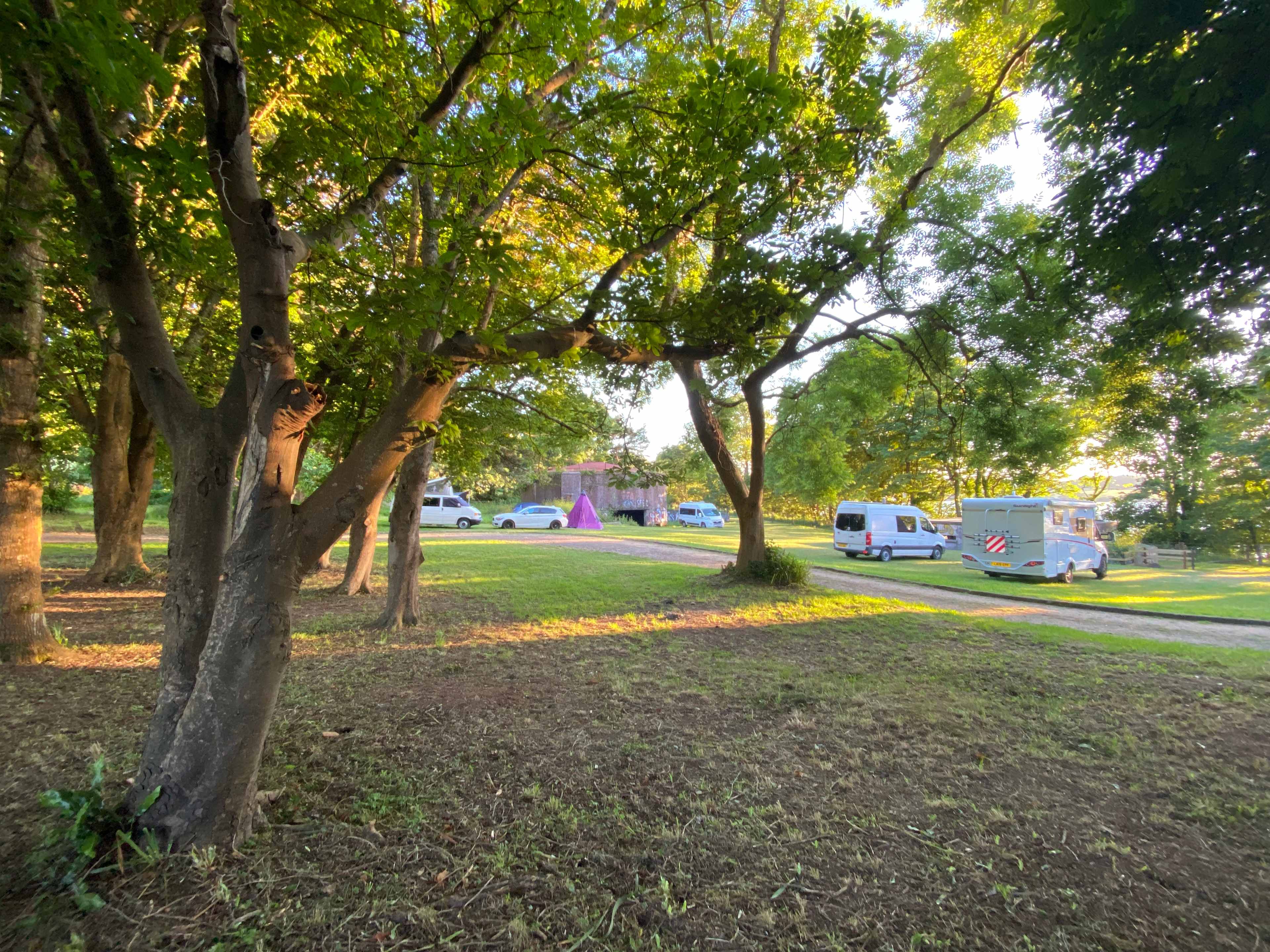 Camp Bedrock