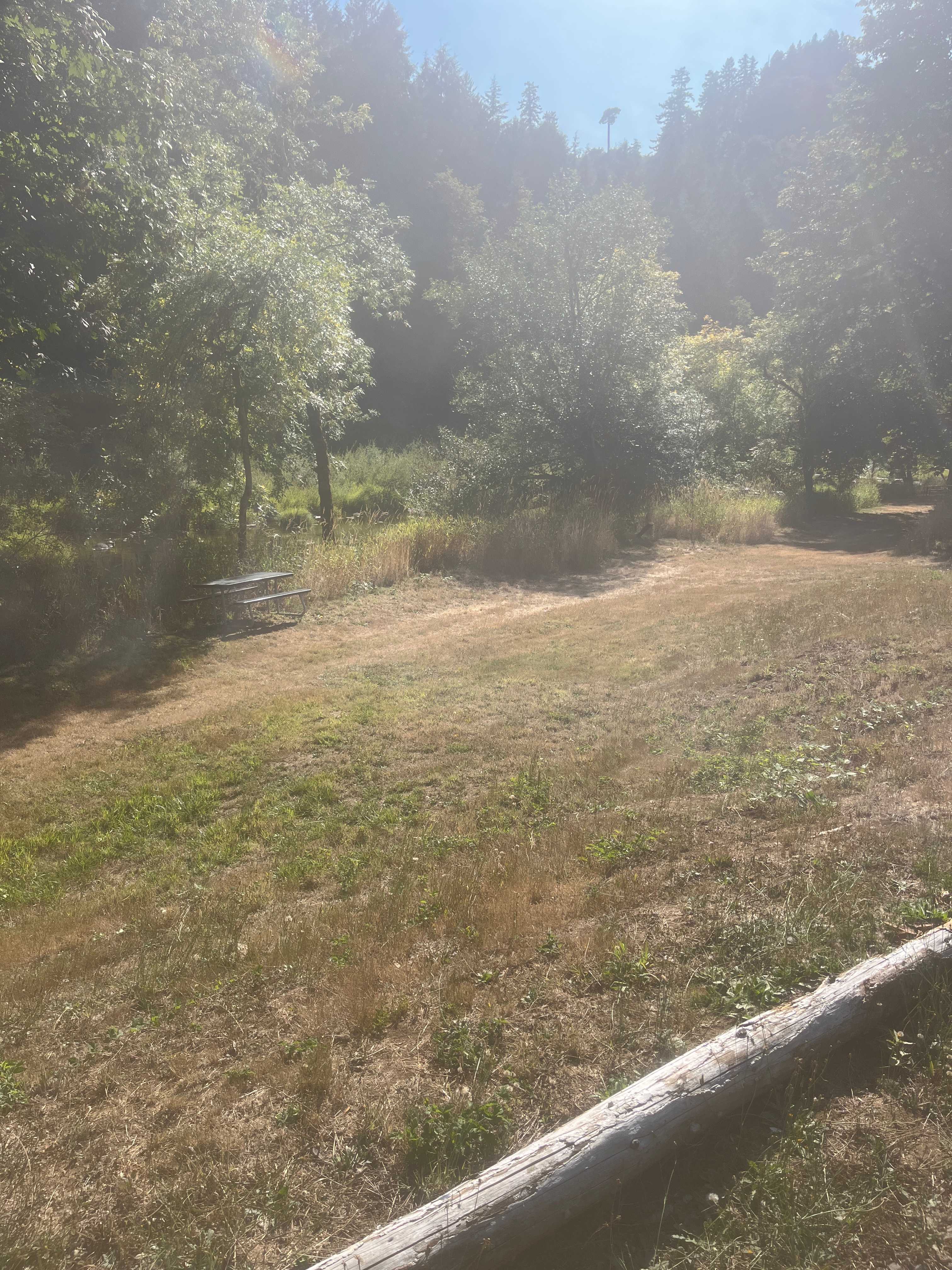 Picture of the site