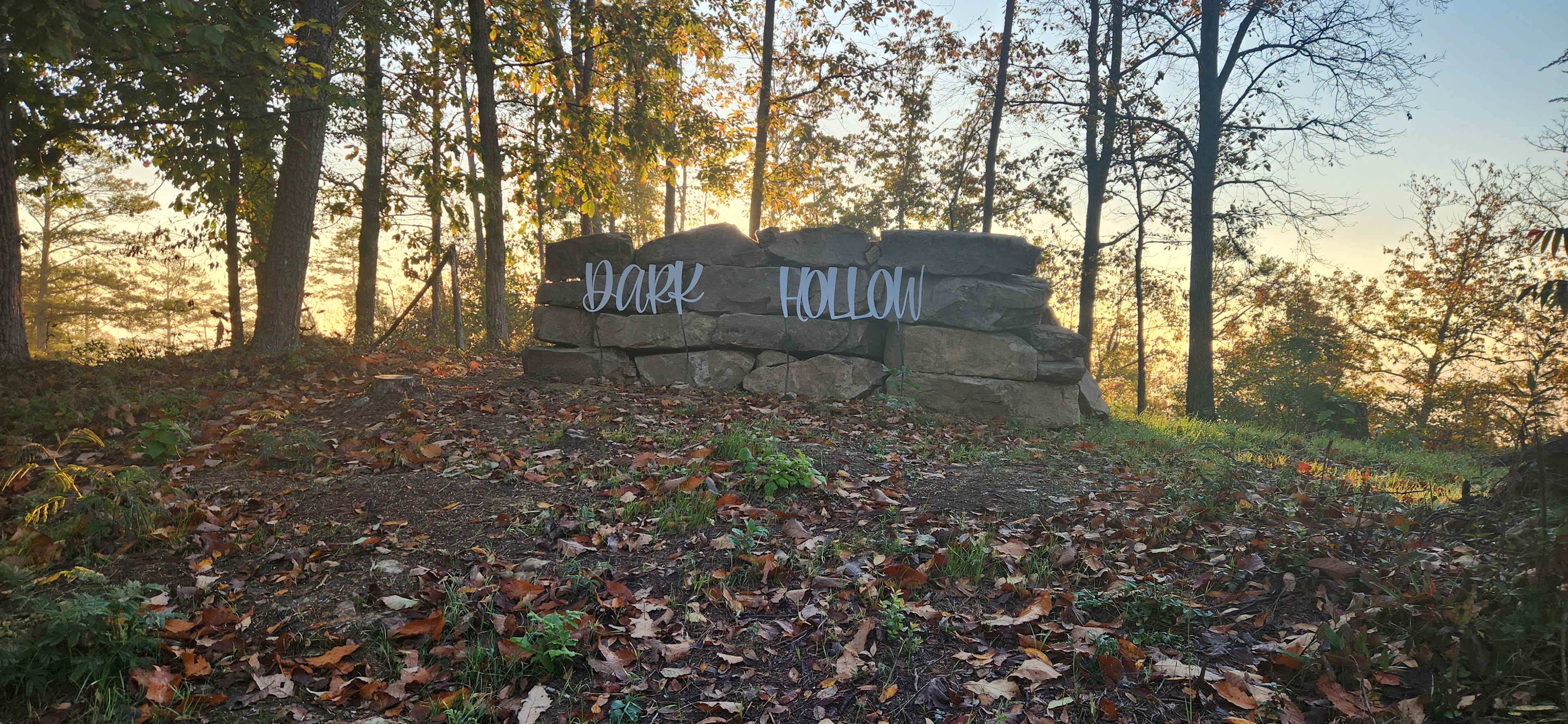 Dark Hollow