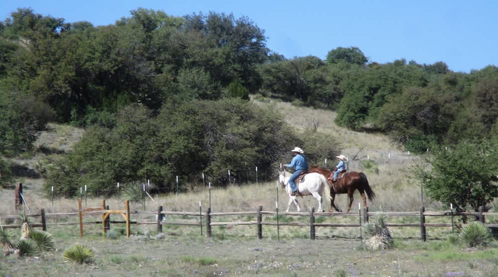 Rancho Viejo