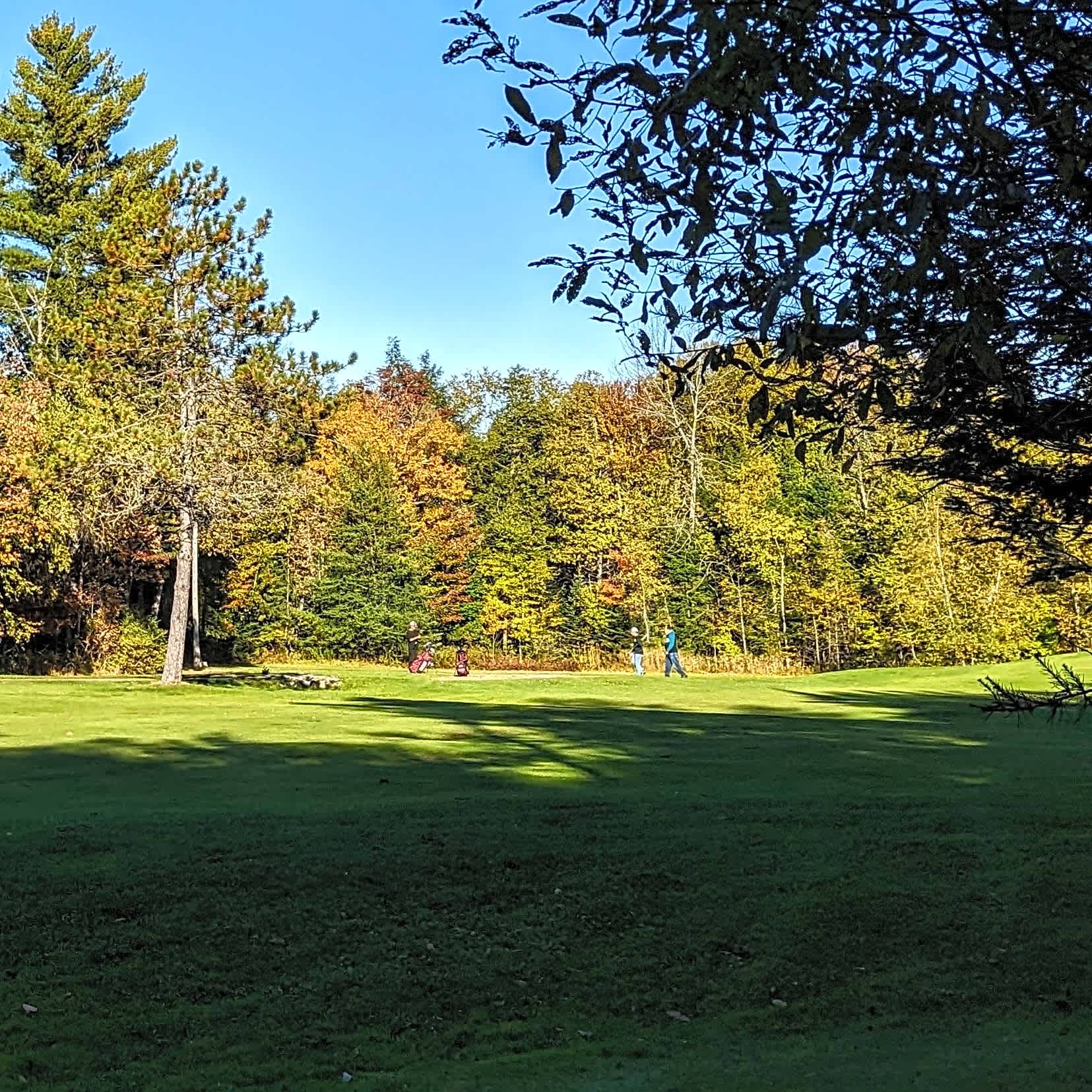 Fogg Brook Resort