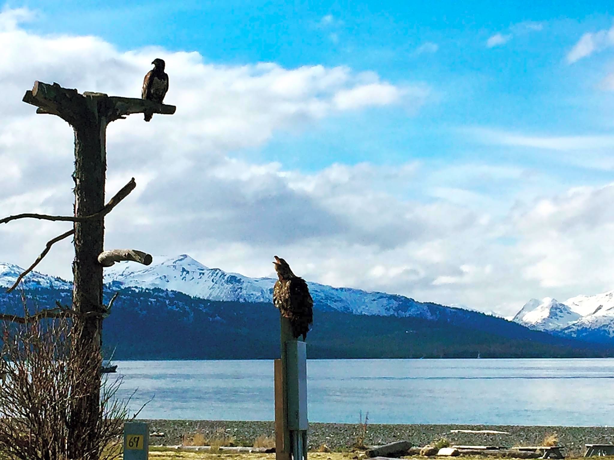 Homer Spit Campground
