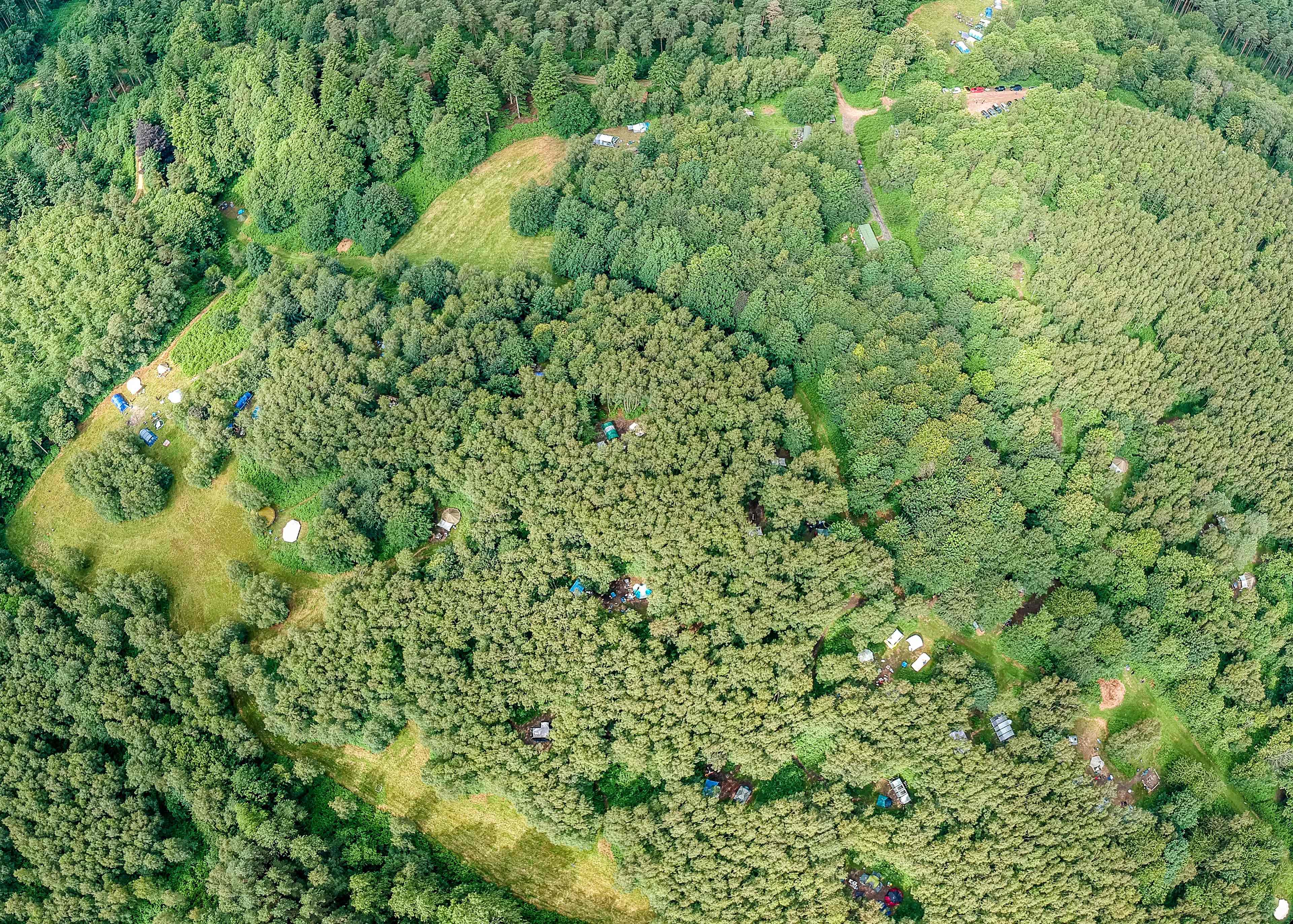 View of Beech Estate Campsite set in 600 acres of woodland.