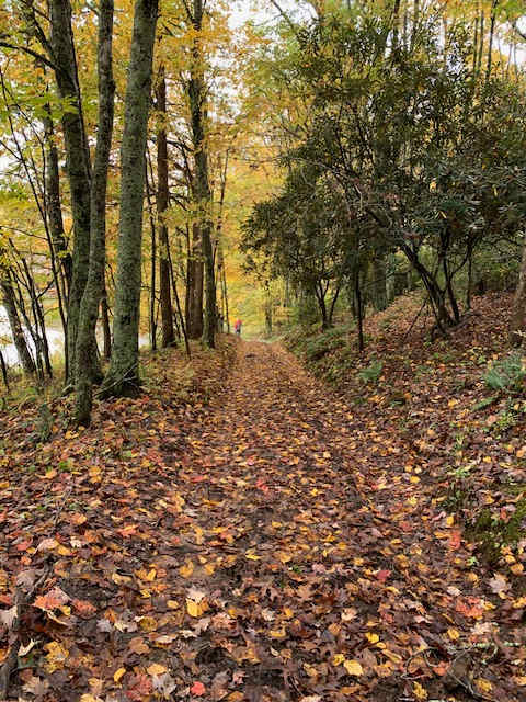 Holly Ridge Retreat