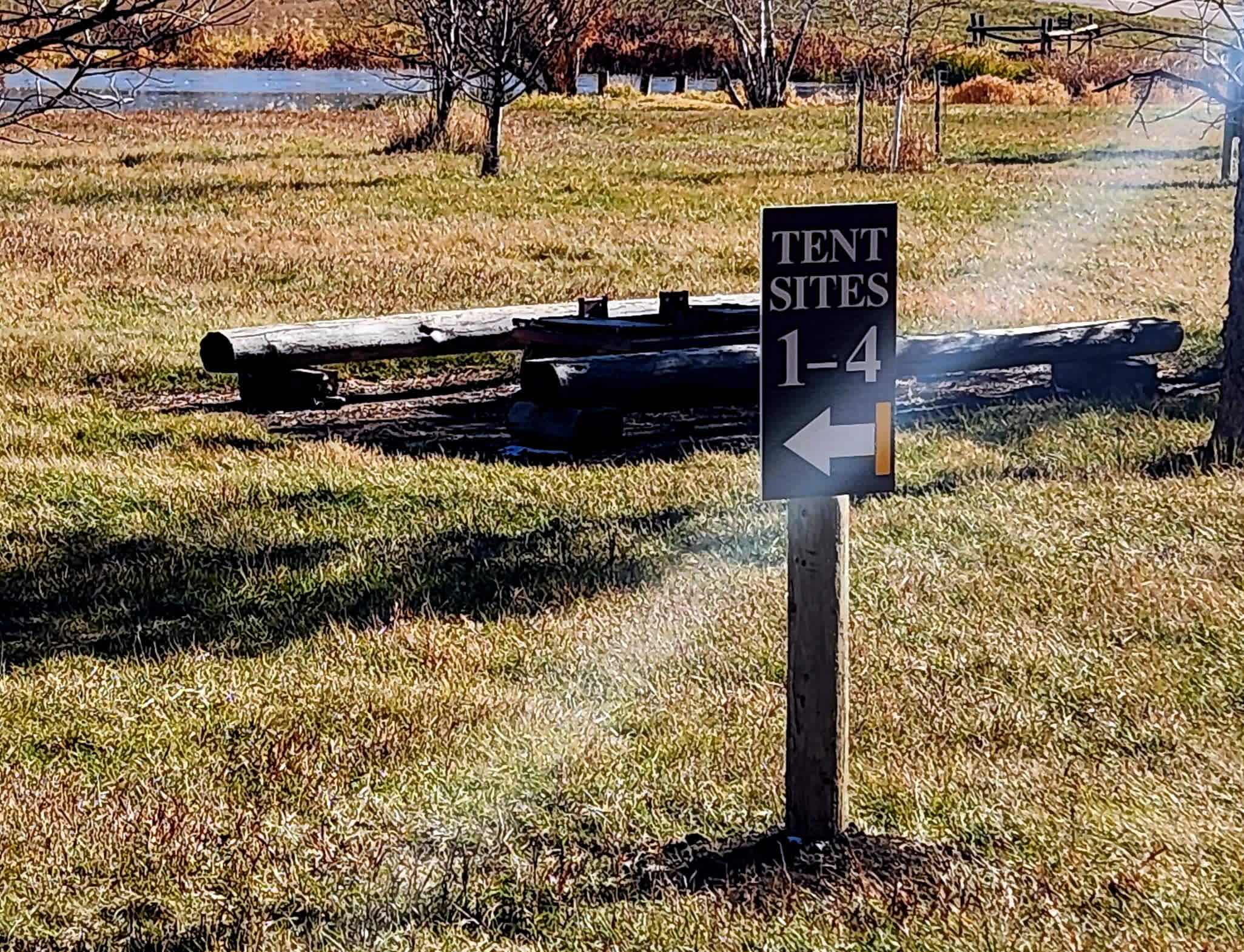 Picture of the site