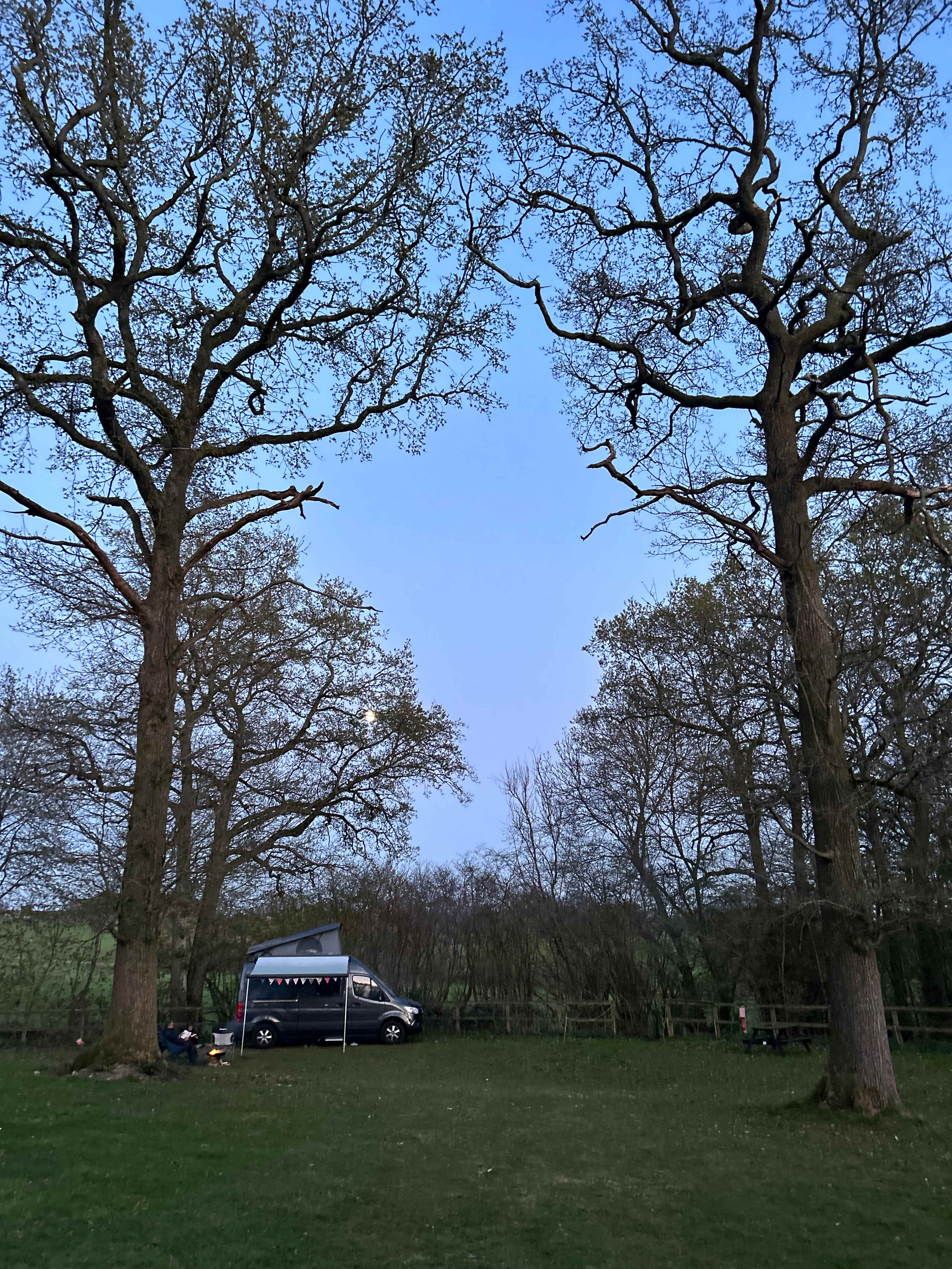 Woodlands Camping