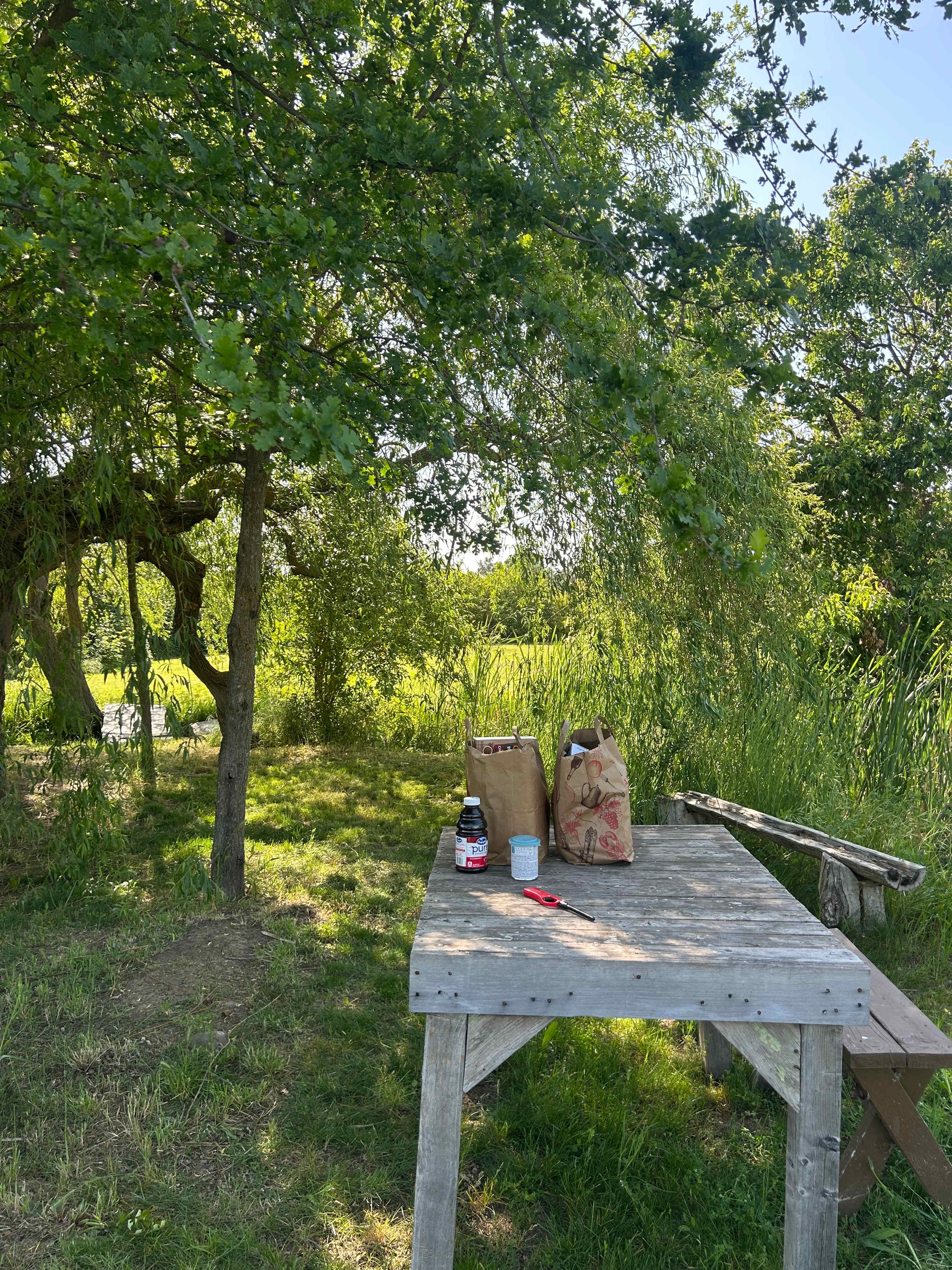 The Foxes  Family Farm