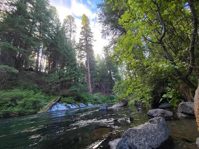 Cold Springs Resort and RV Park