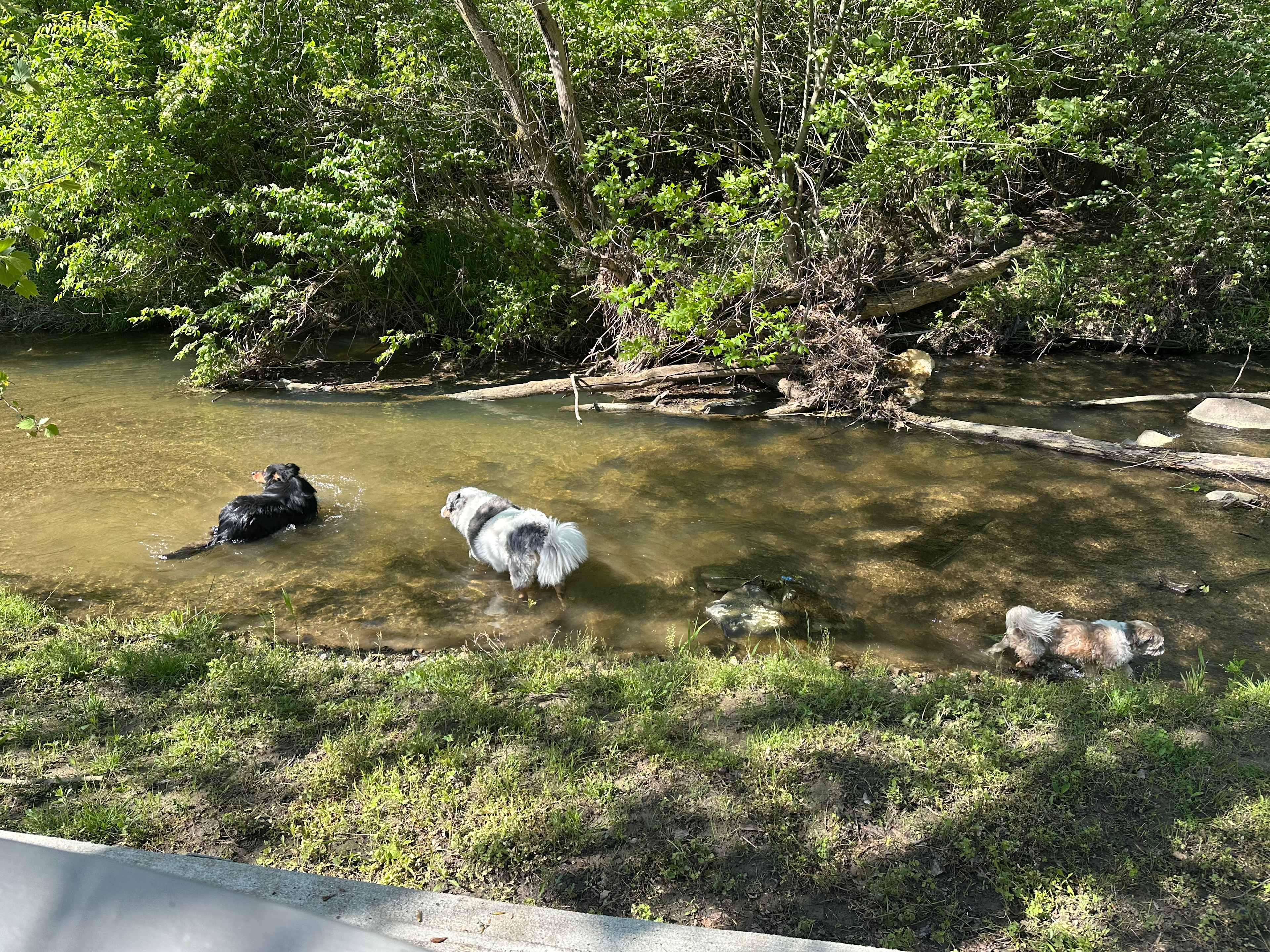 Camp Rocky Run