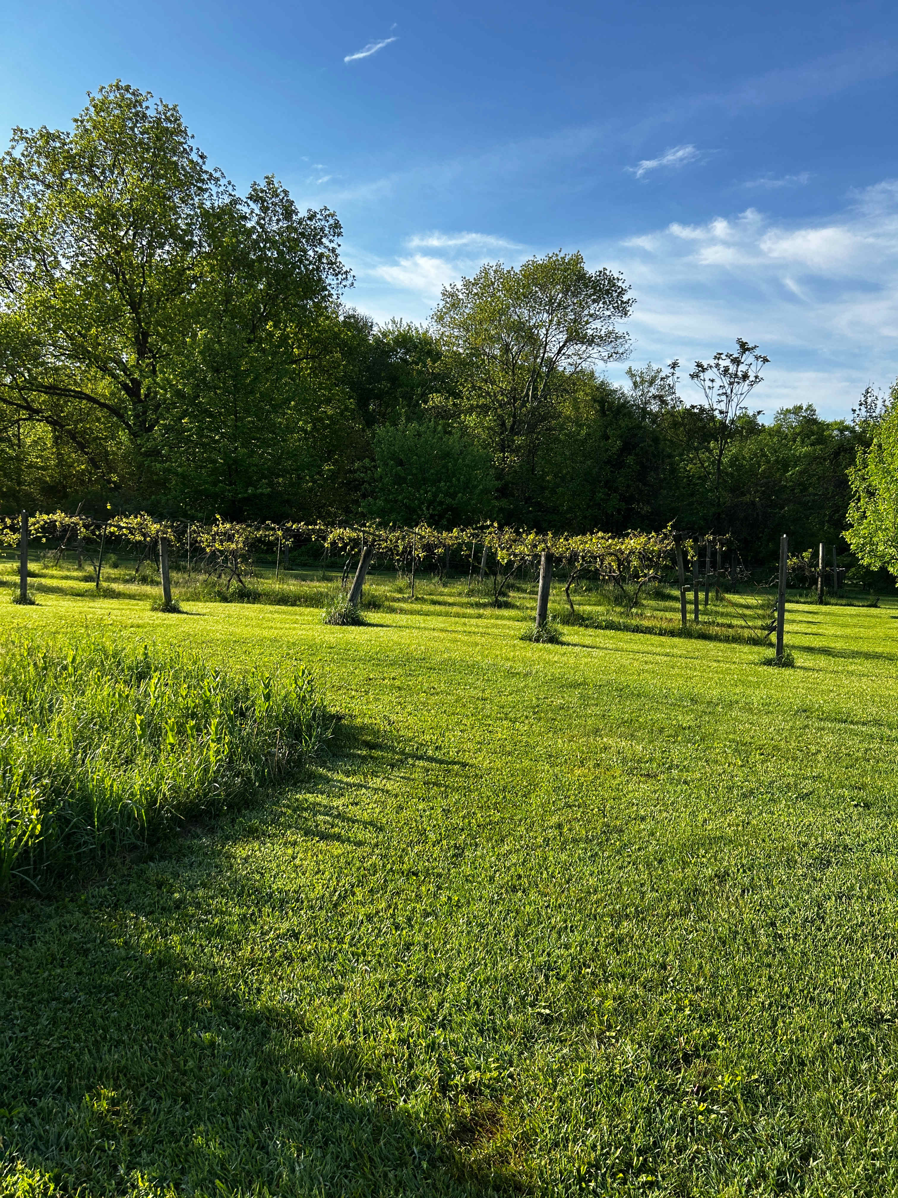 Hawkwood Farm