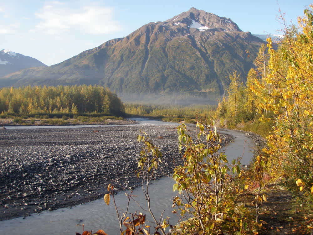 Cover photo for Exit Glacier Campground