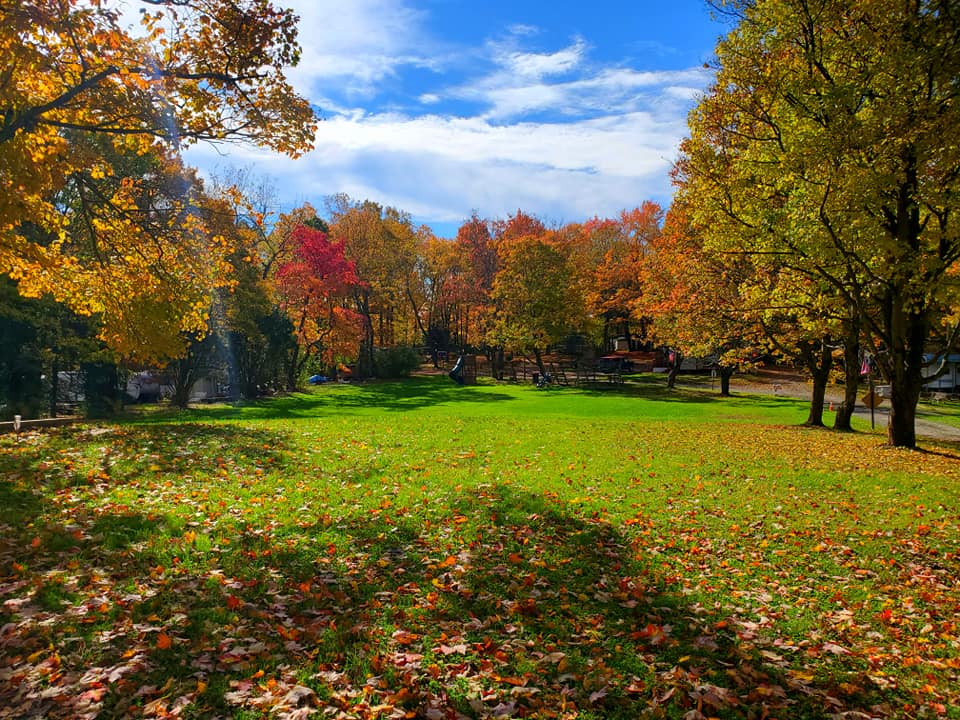 Miller's Campground