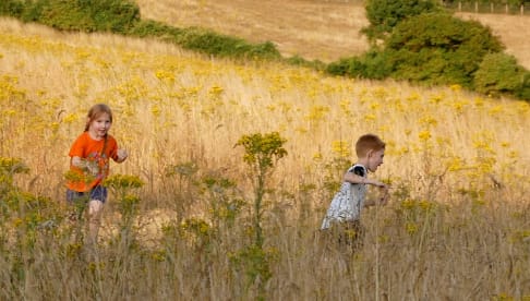 Wolstonbury Dreaming at ChantryFarm