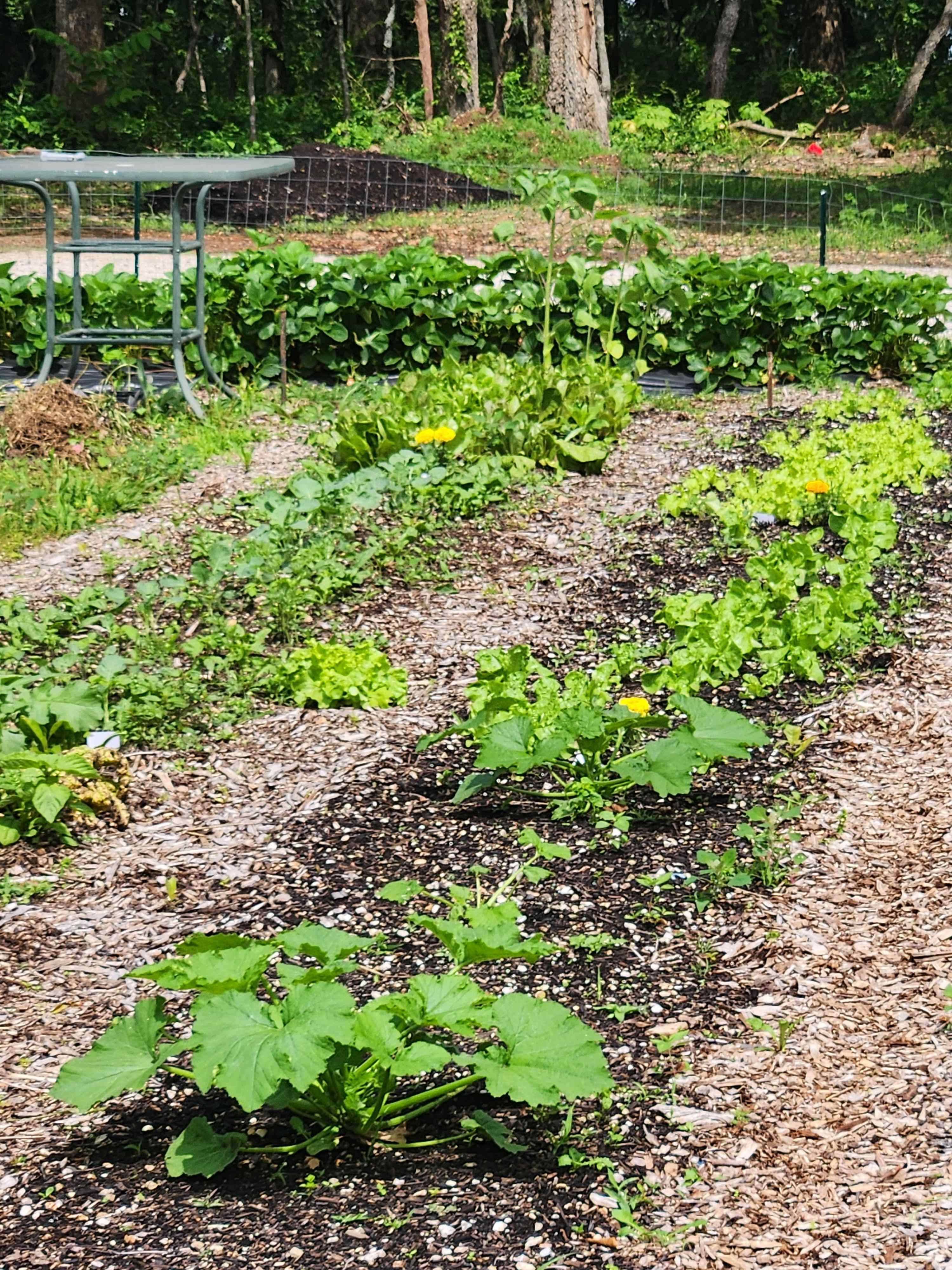 Bluestone Natural Farms