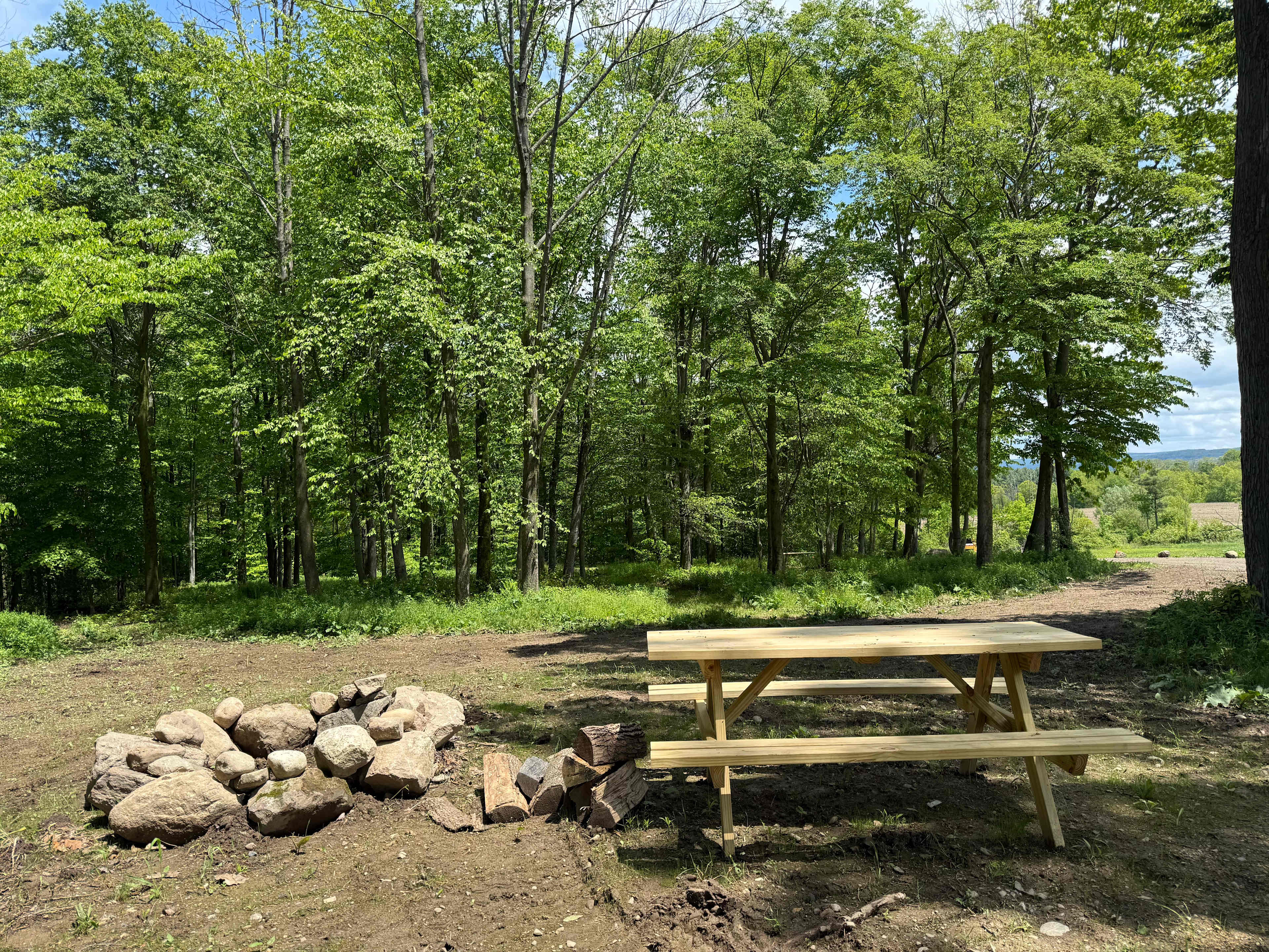 Campsite 1