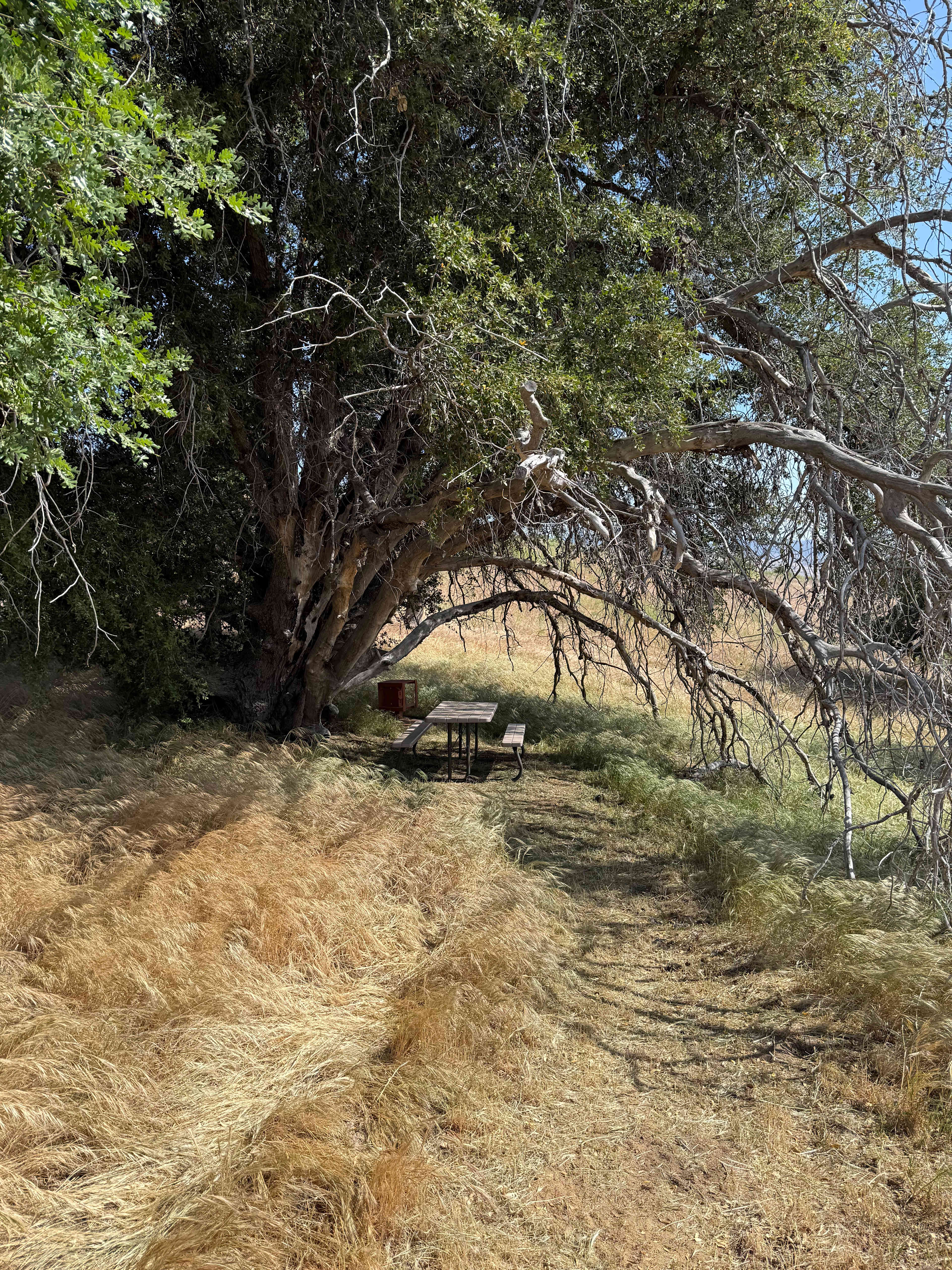 Along the onsite trails. 