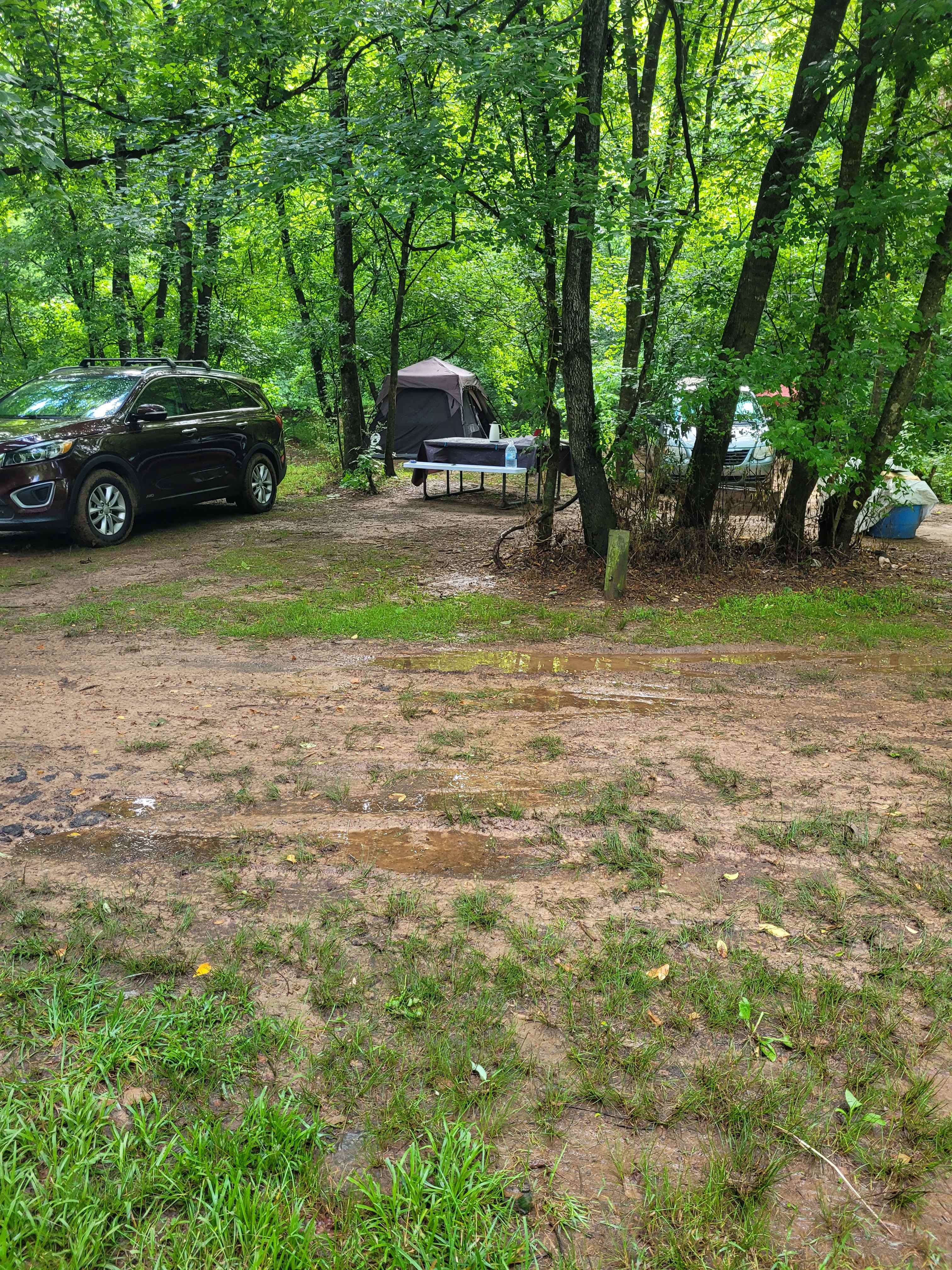 Had rain first 2 nights, campsite  itself did not get muddy!