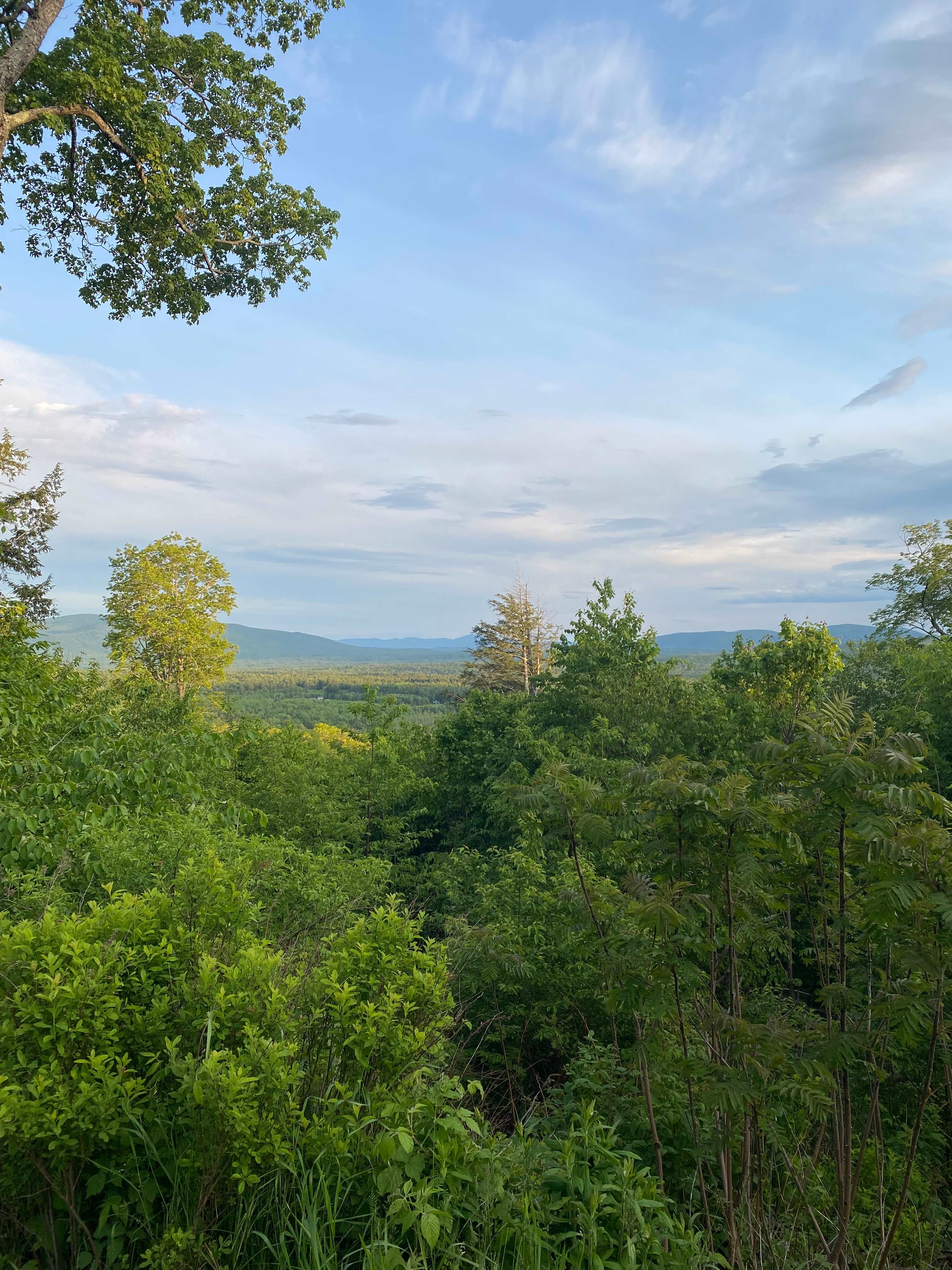 afternoon view
