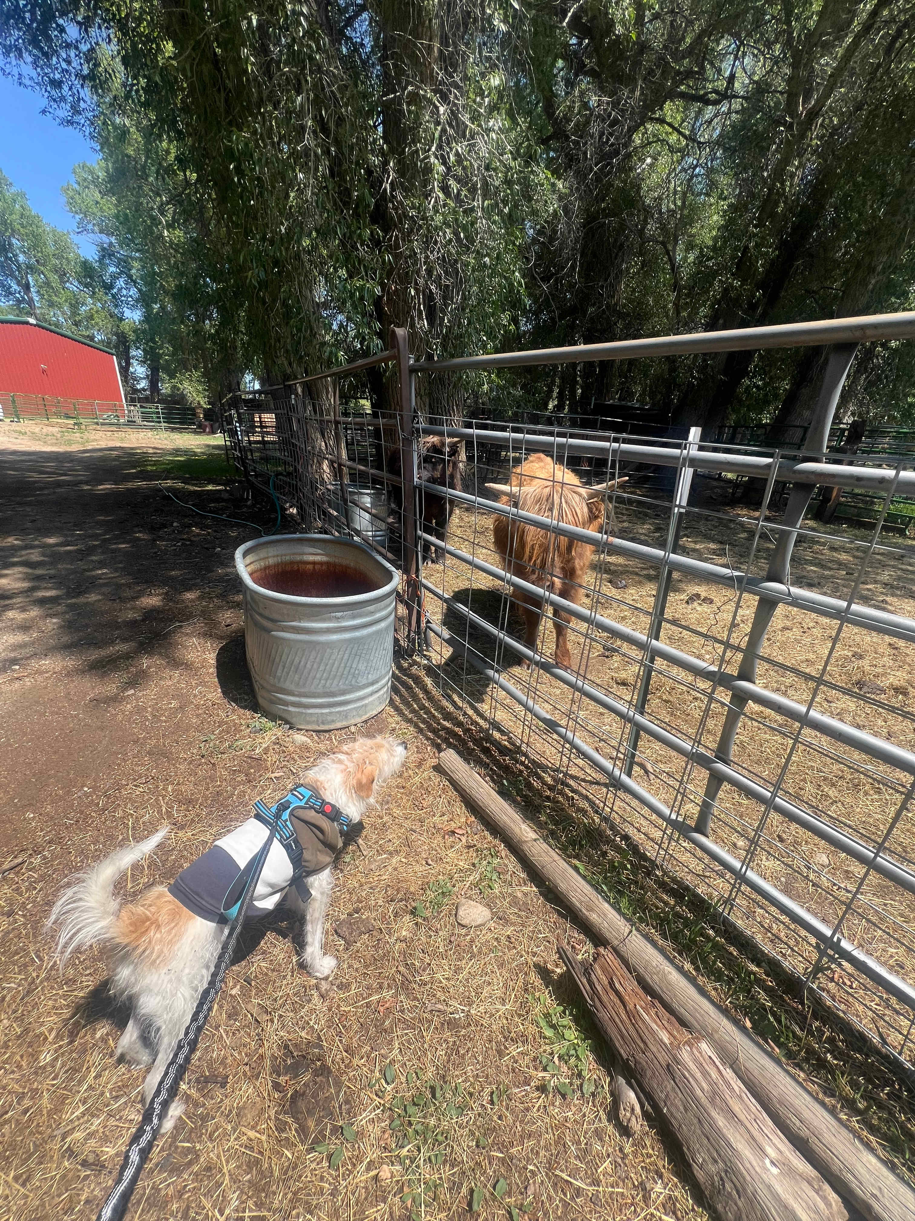 Frenchman's Creek Ranch