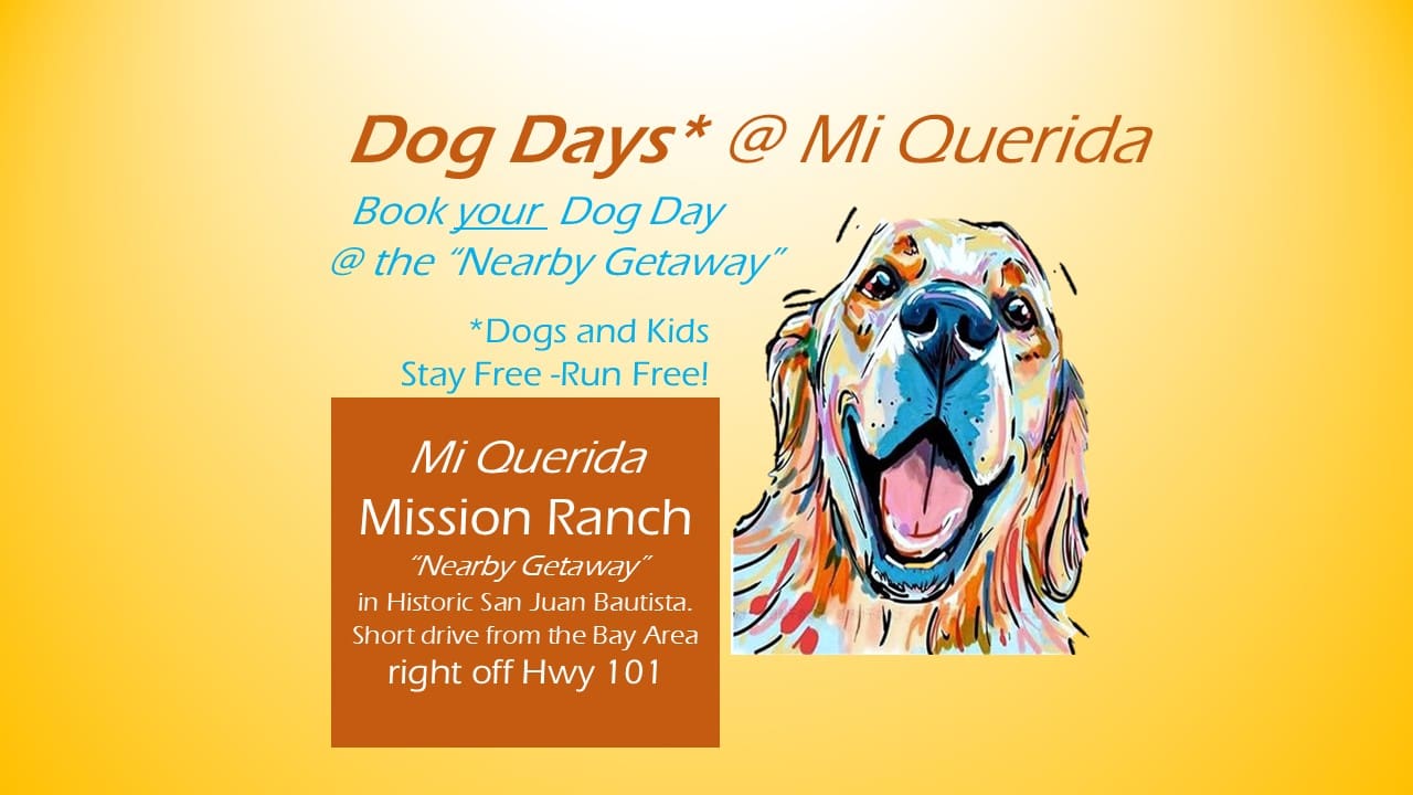 Dogs Welcome! Nearby Getaway