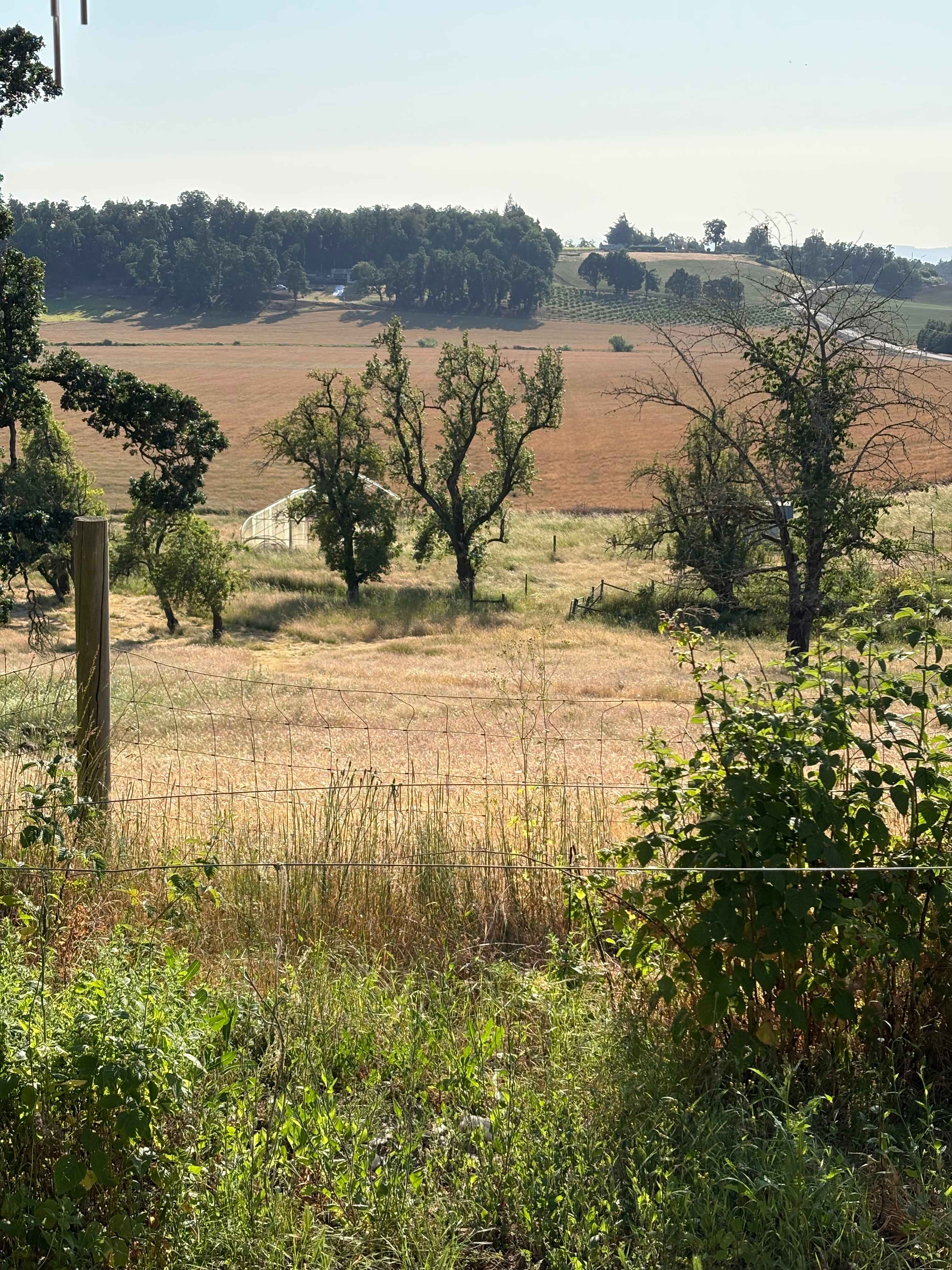 GeerCrest Farm