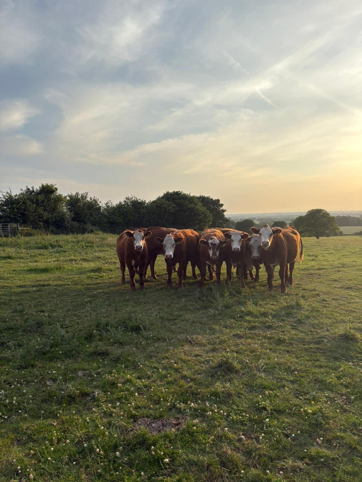 Park Hill Farm