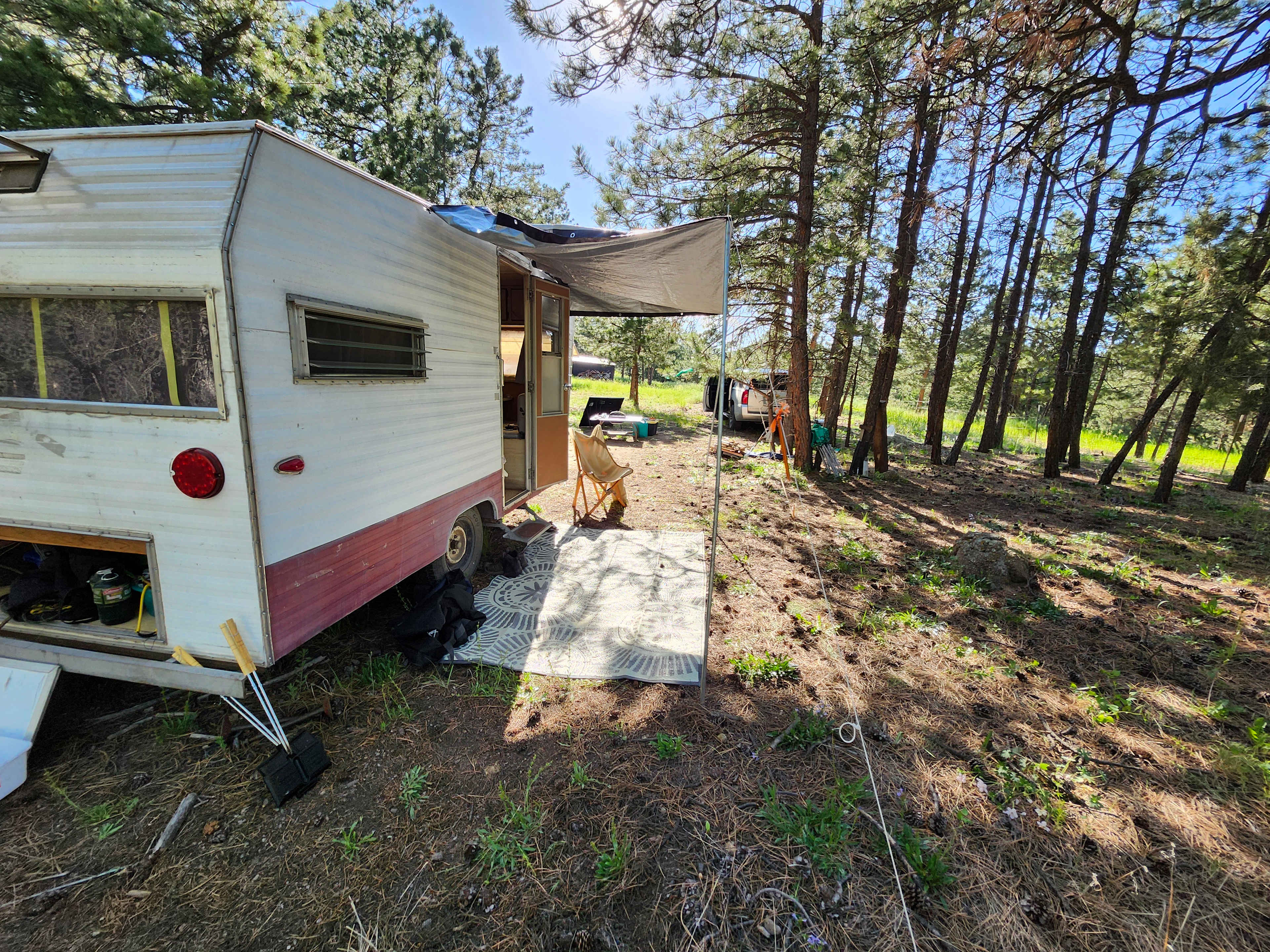 Looking west toward the wood pile