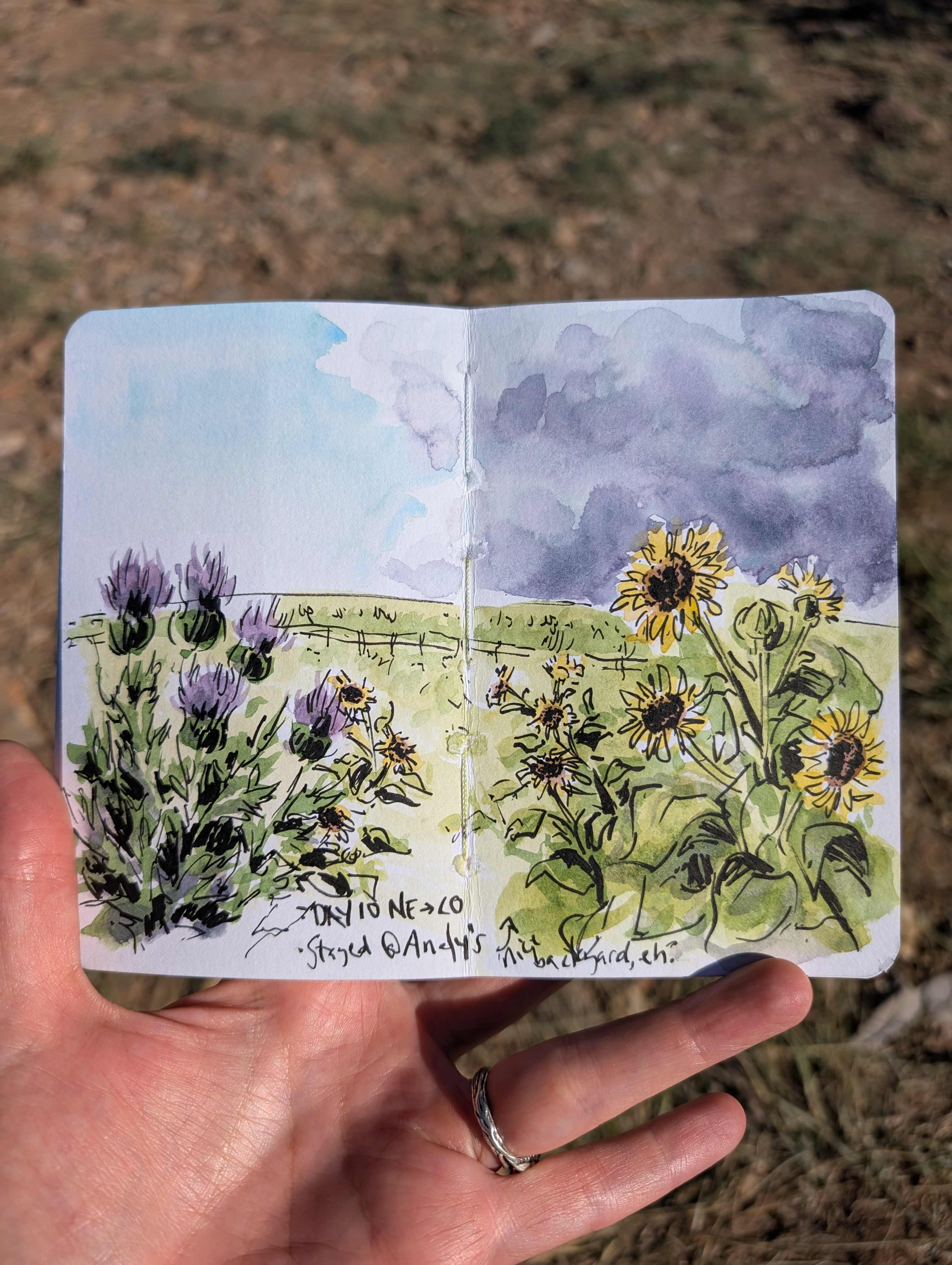 Sketch done from the views at the site