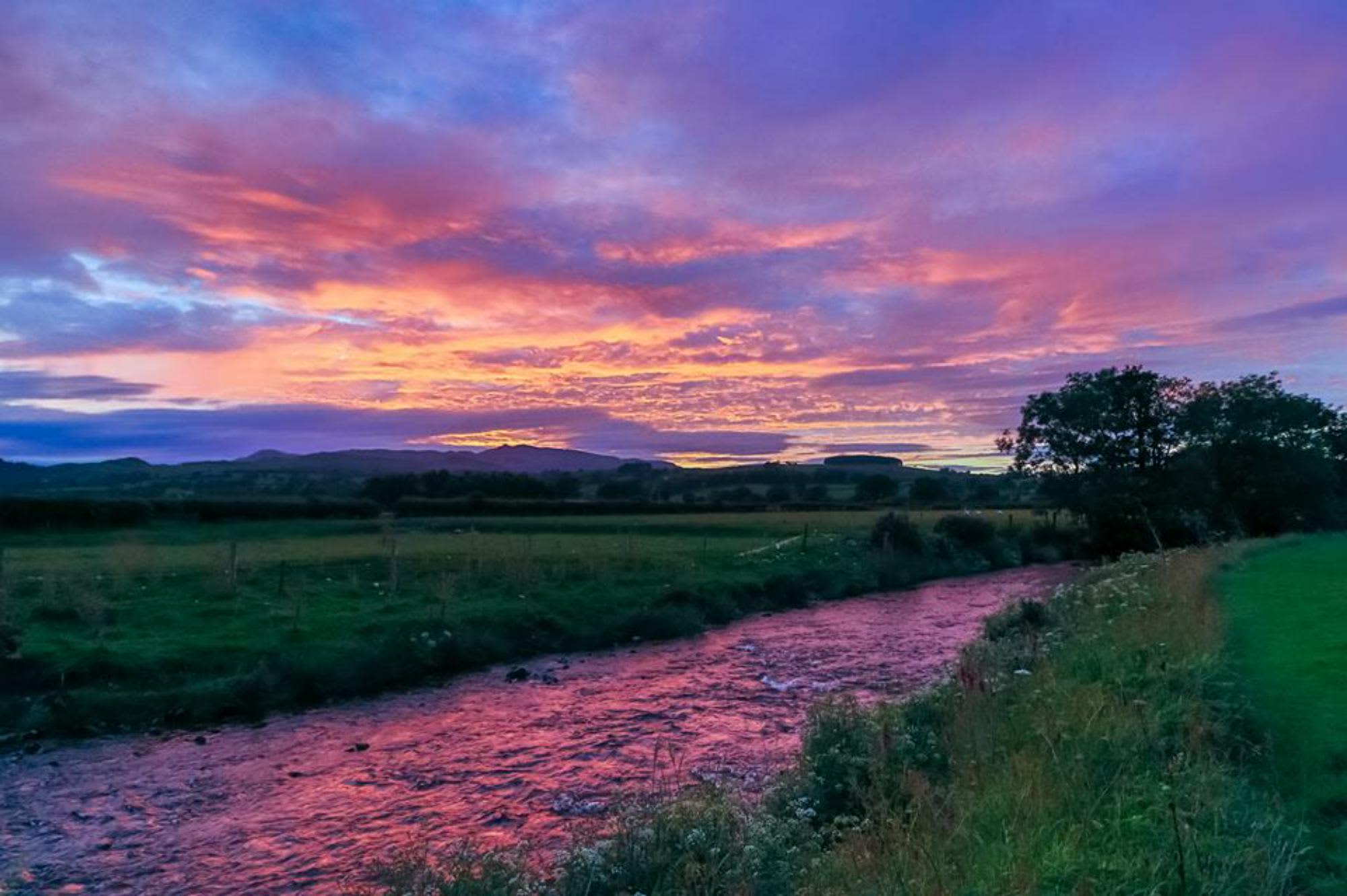 Bwch Yn Uchaf
