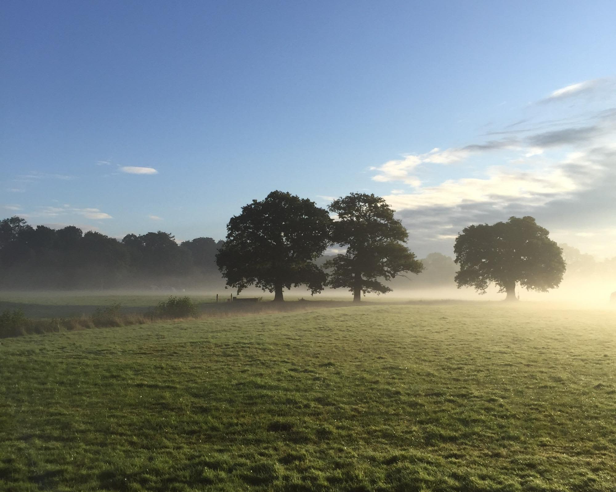 Snelling Farm Campsite