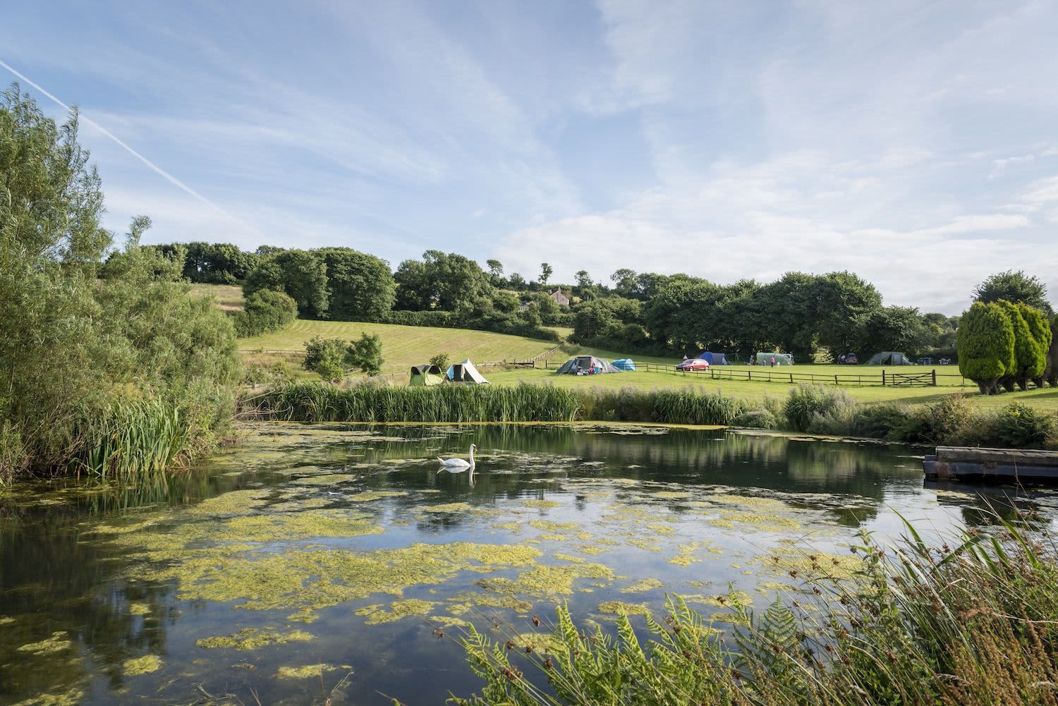 A secret, secluded campsite with wonderful Dorset views.