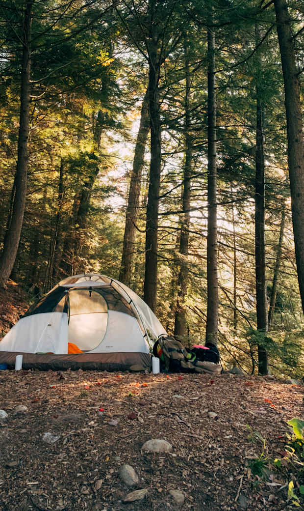 Find yourself outside in Canada.