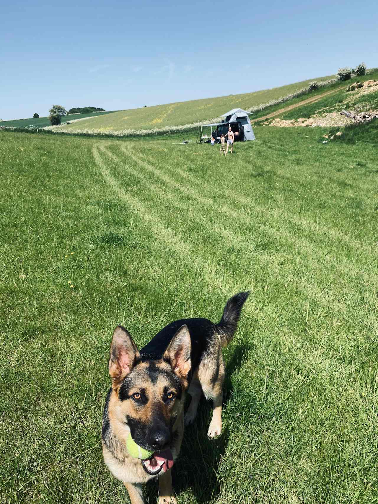 Wild Camping in the Cotswolds