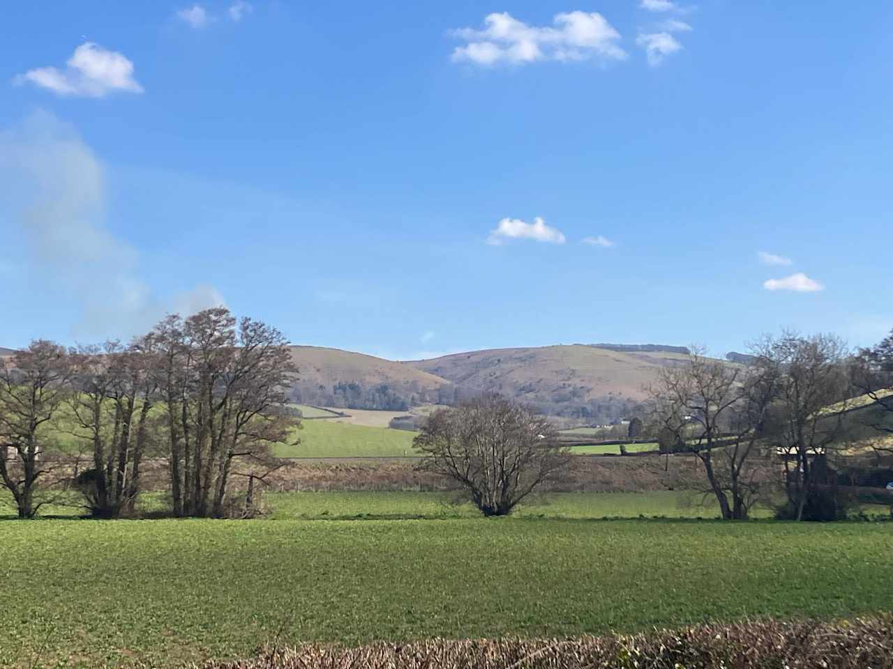Steam and Stars Luxury Glamping