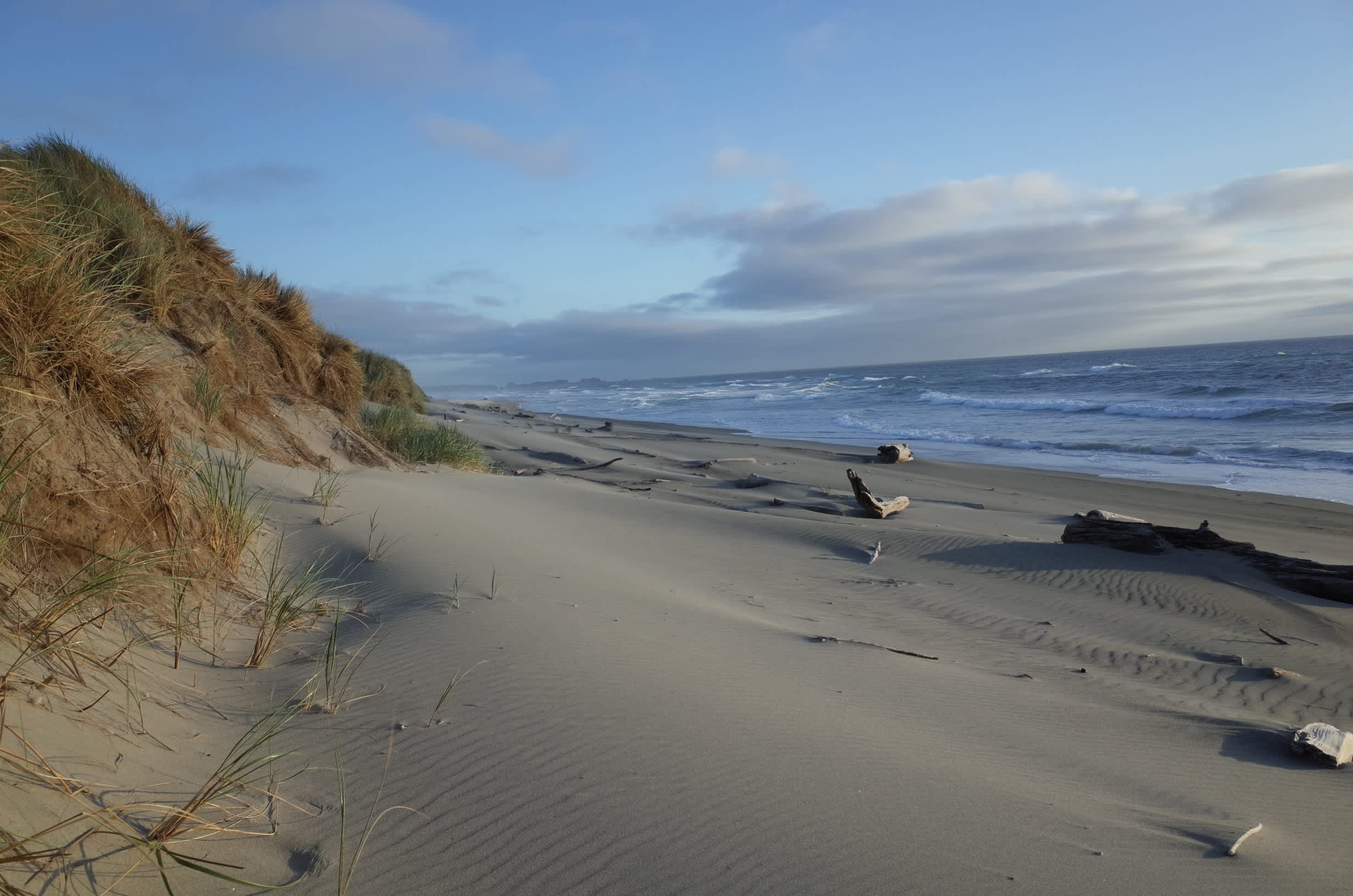 Bullards Beach Campground
