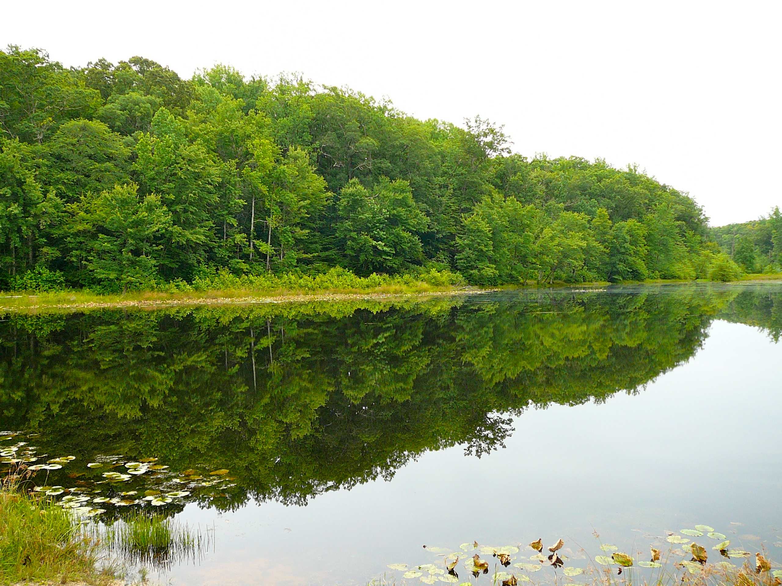 Cedarville Campground