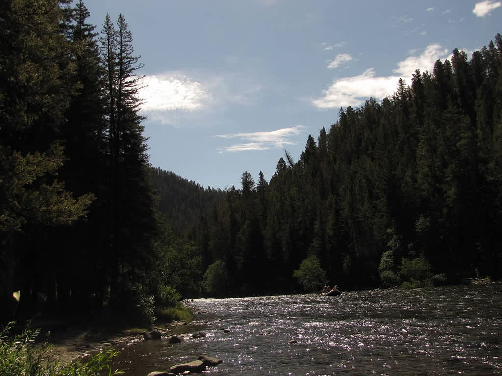 Timber Camp Campground